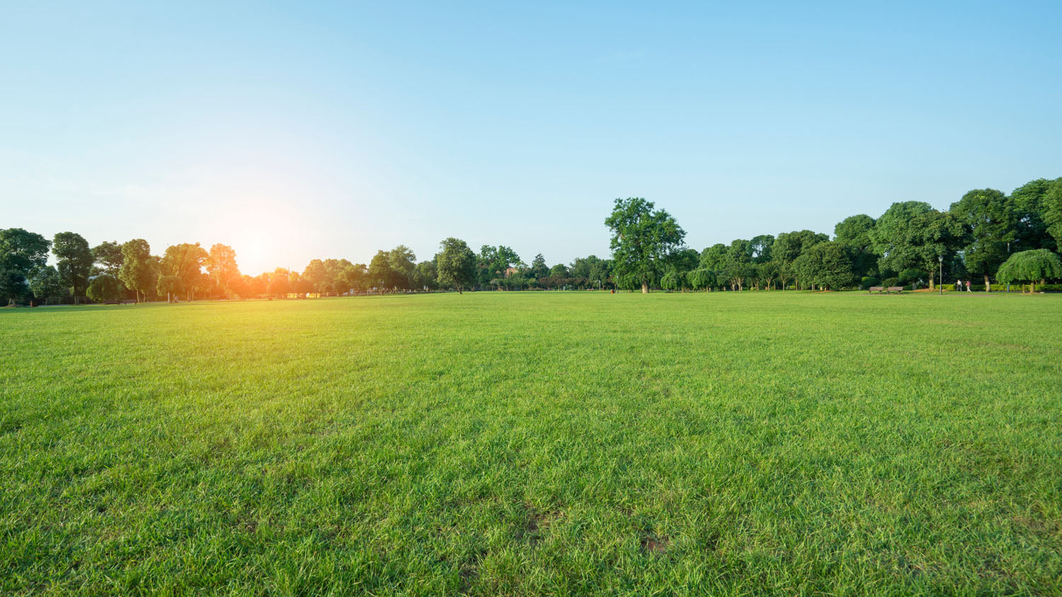 Zonă extinsă de gazon verde și sănătos, întreținut corespunzător, sub un cer senin la apus de soare.