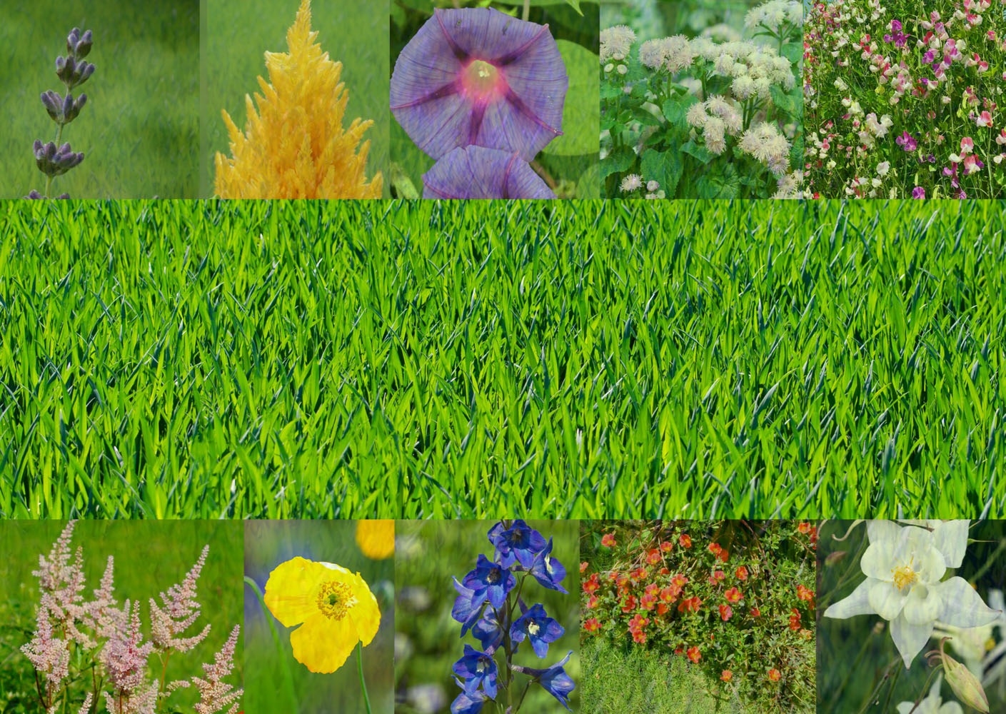 Alege flori care se integrează perfect în gazonul tău pentru un peisaj armonios și sănătos.