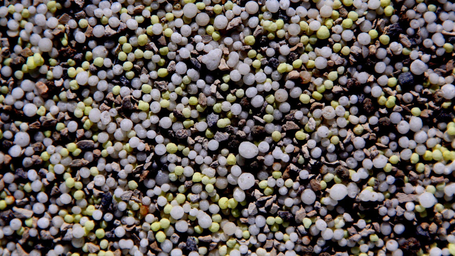 Granule de îngrășământ pentru gazon, cu eliberare controlată, esențiale pentru fertilizarea de primăvară și nutriția plantelor.