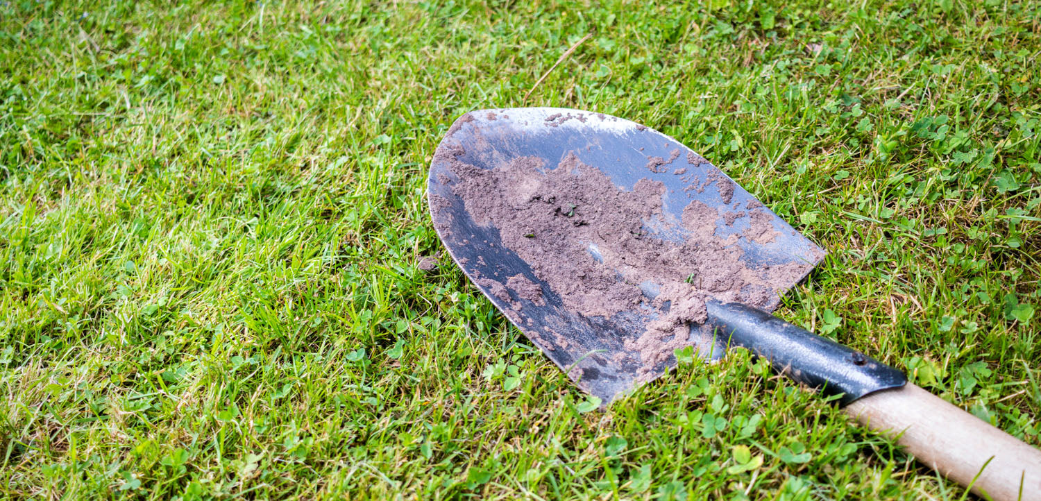 Lopată pe gazon care urmează a fi renovat.