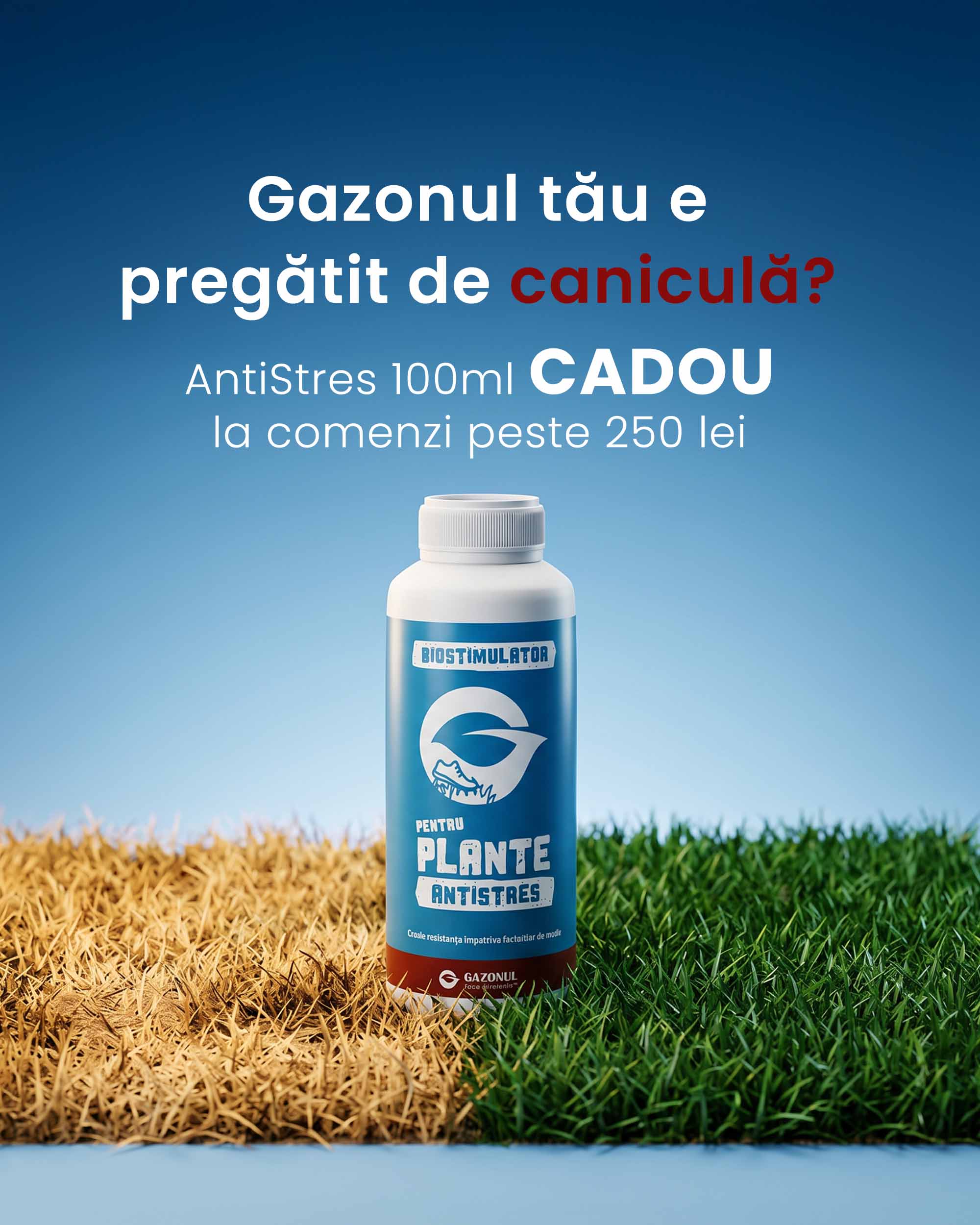 Gazonul