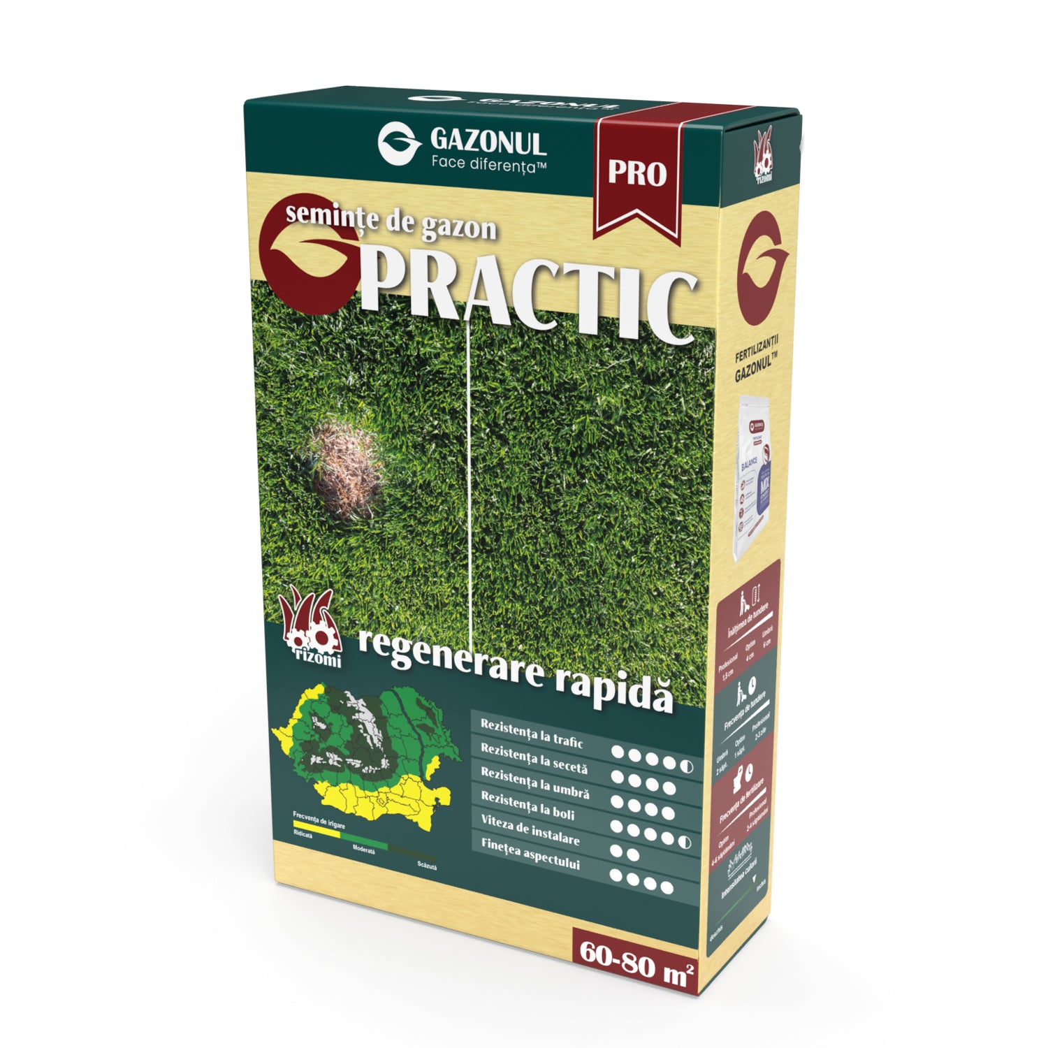 Semințe Gazon Practic pentru trafic, regenerare rapidă și creștere lentă