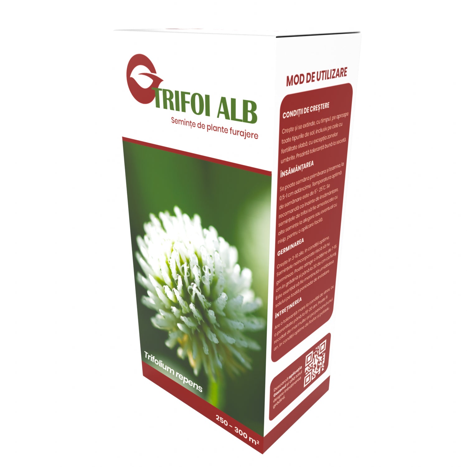 Semințe Trifoi Alb pentru grădini rustice, întreținere redusă și furaj