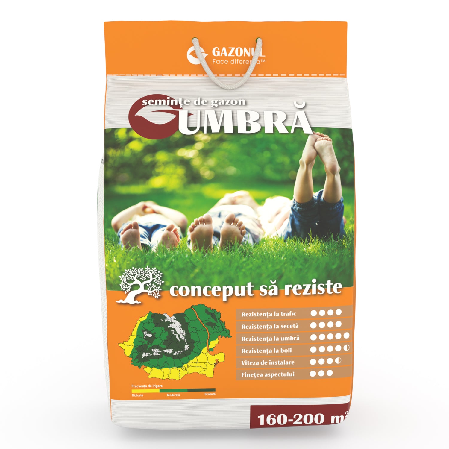 Semințe Gazon Umbră pentru livezi, spații umbrite și semiumbrite