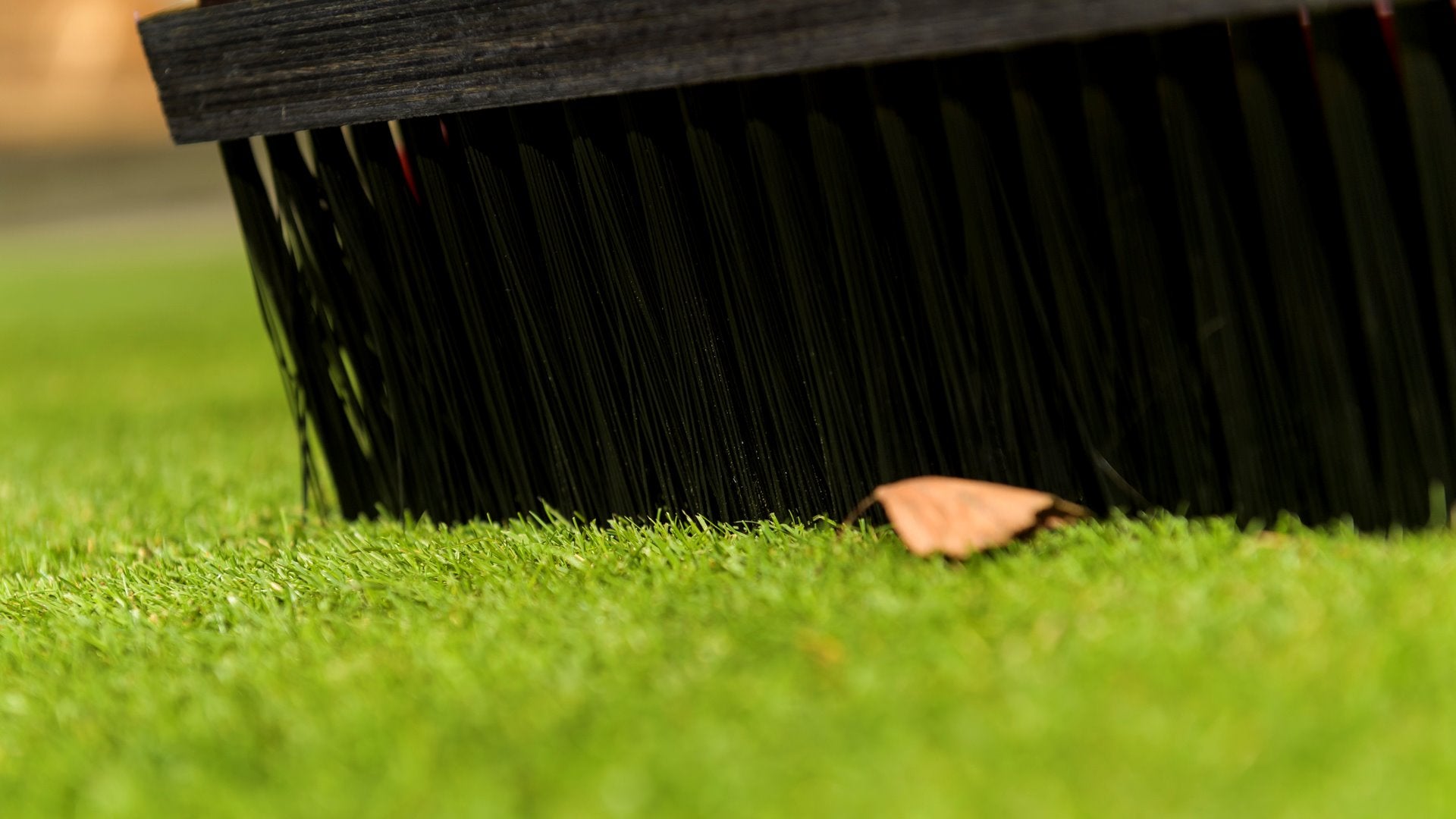 Mătură specială pentru pământ și rouă Edwin