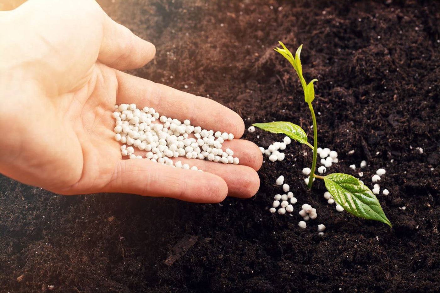 Fertilizare Periodica