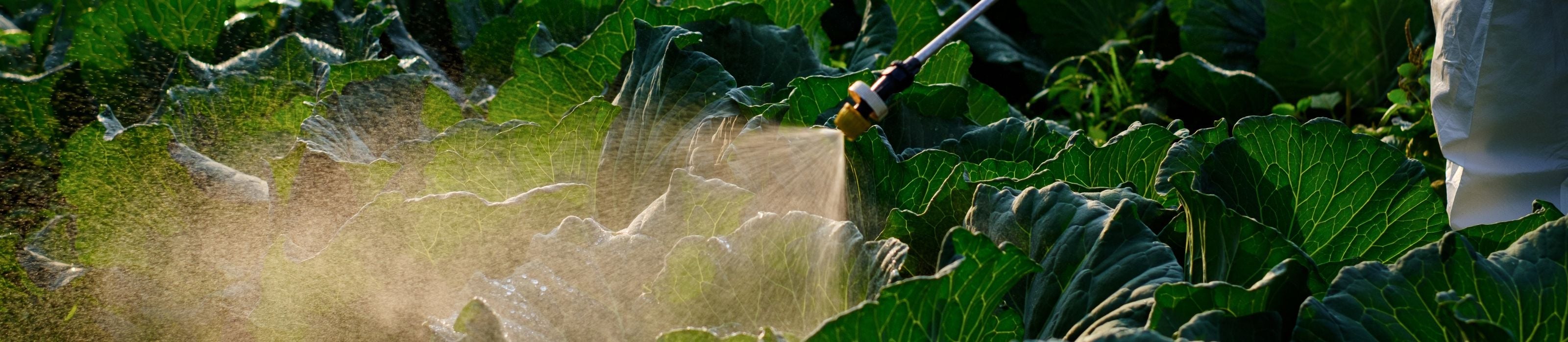 Pesticide pentru legume și fructe