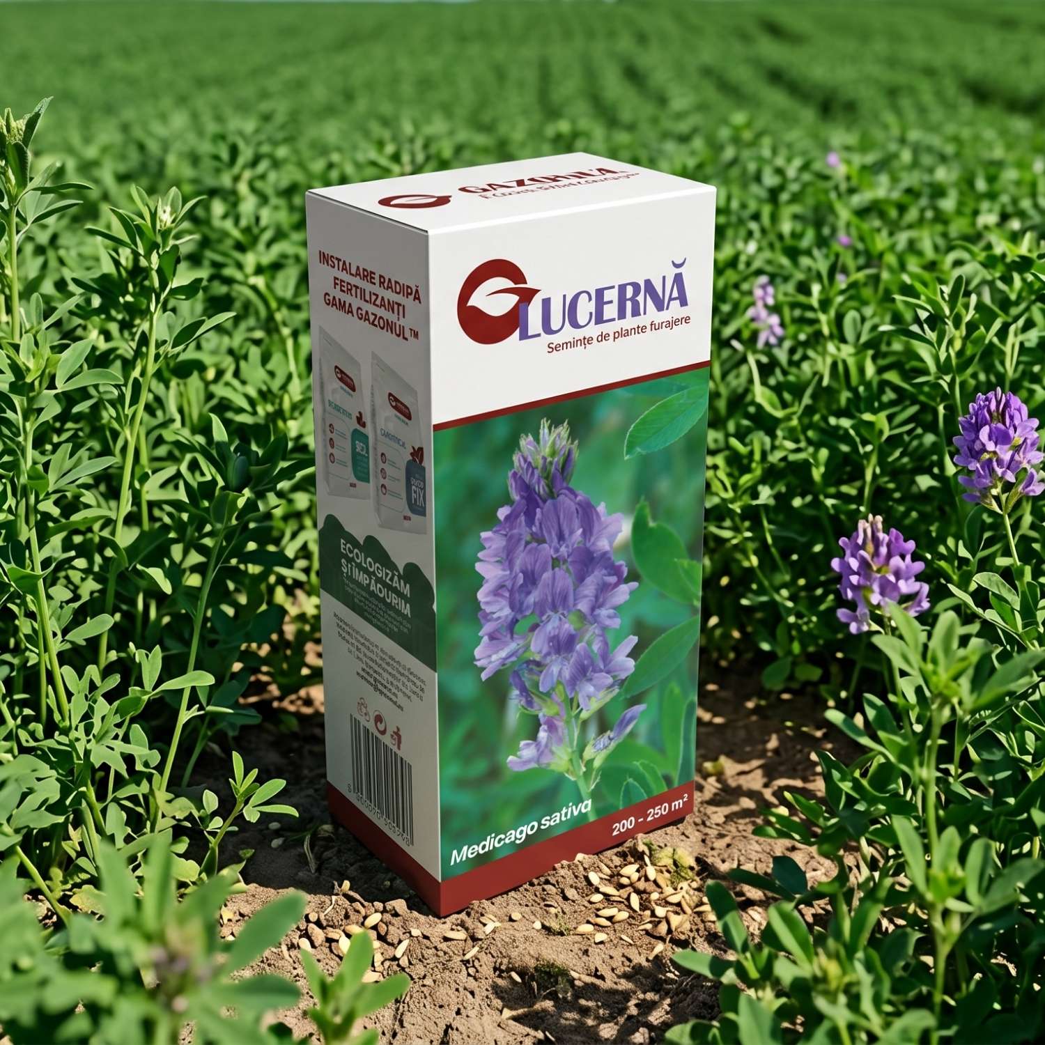 0.5 KG
