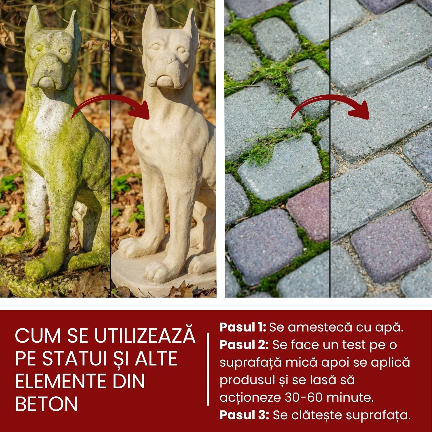 Tratament foliar Anti-Mușchi pentru gazon sănătos 100 ml