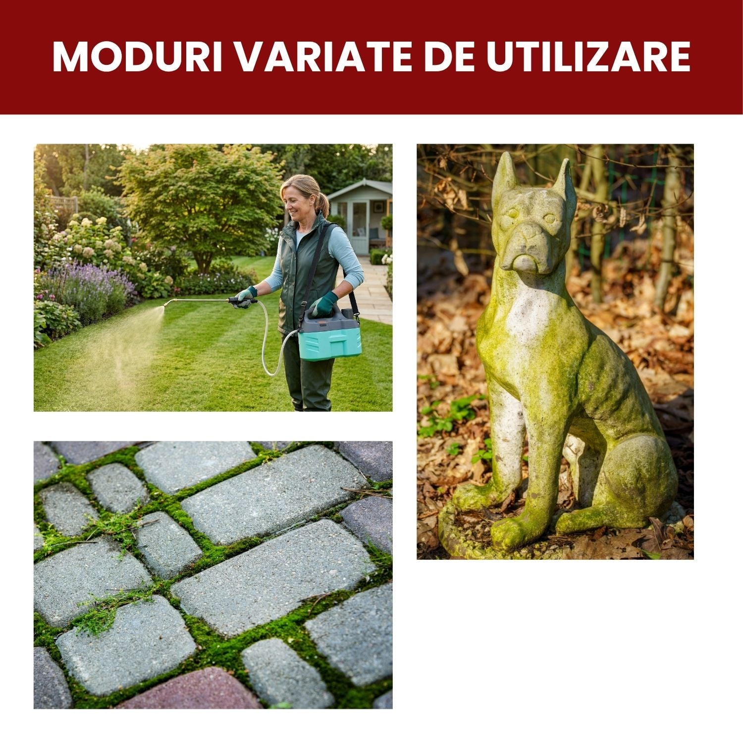 Tratament foliar Anti-Mușchi pentru gazon sănătos 100 ml