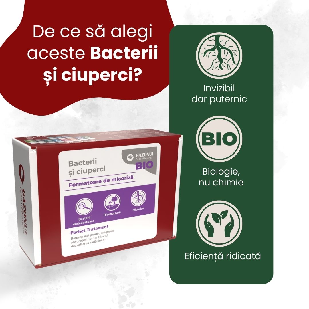 Pachet Tratament Bio - Bacterii și ciuperci formatoare de micoriză
