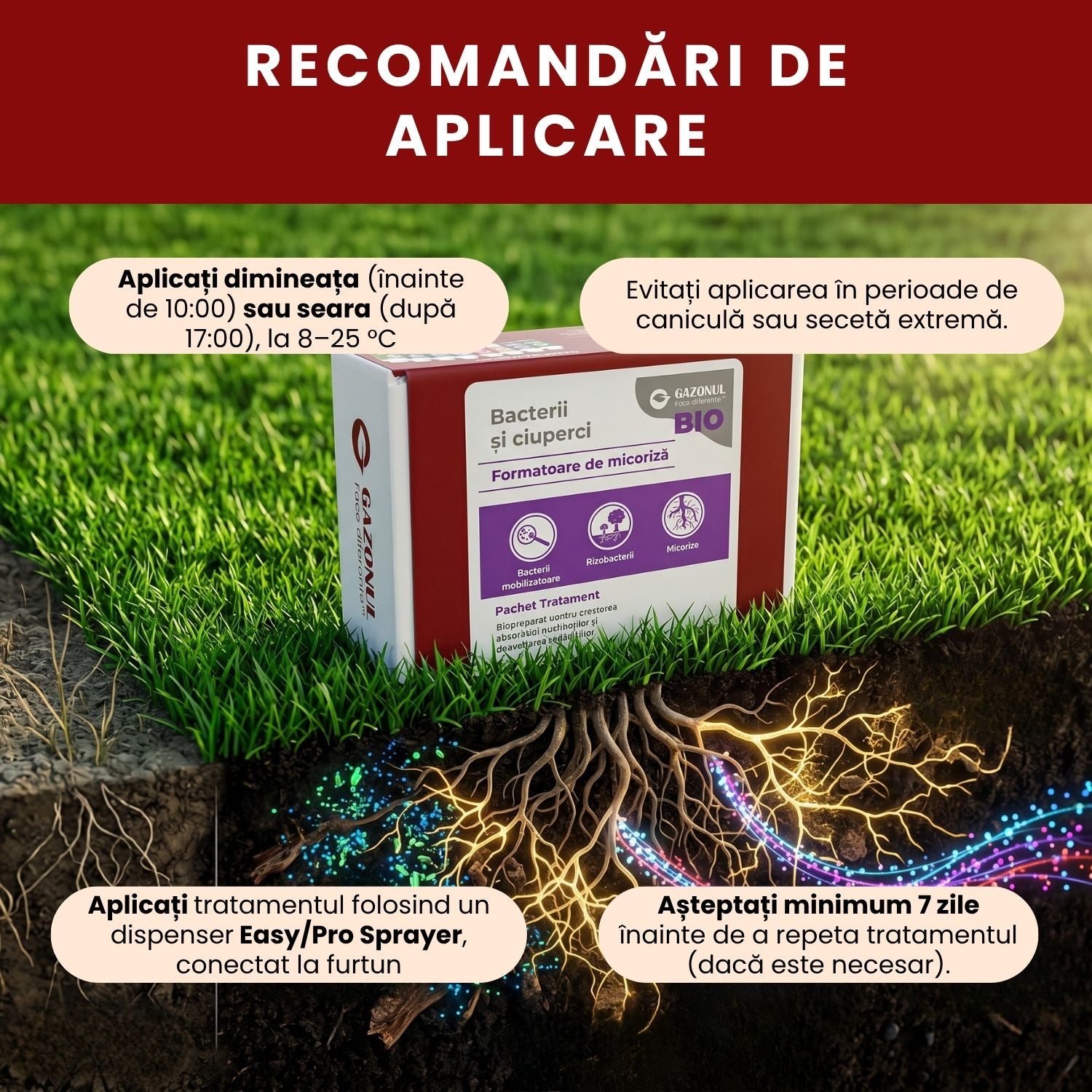 Pachet Tratament Bio - Bacterii și ciuperci formatoare de micoriză