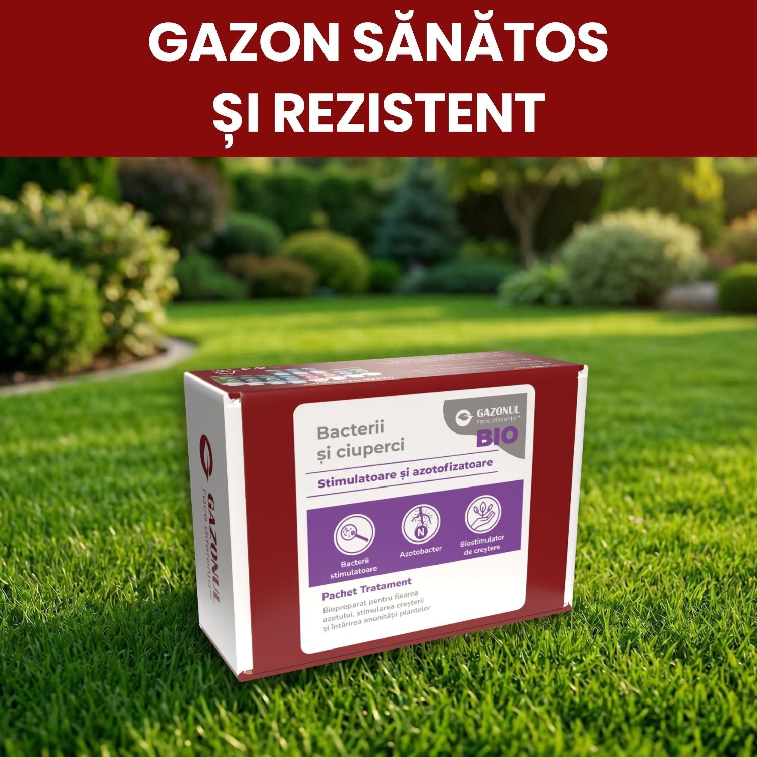 Pachet Tratament Bio - Bacterii și ciuperci stimulatoare și azotofixatoare