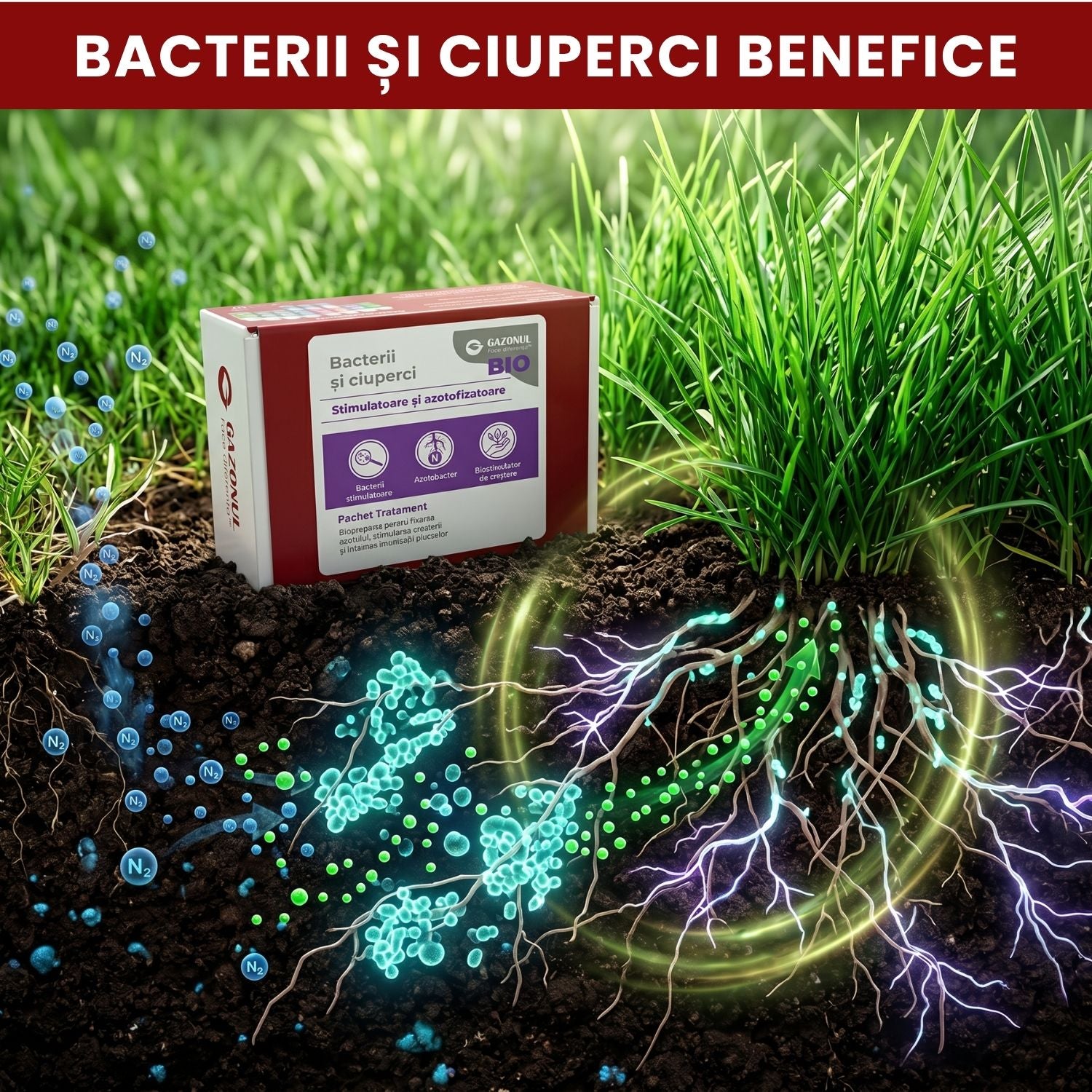 Pachet Tratament Bio - Bacterii și ciuperci stimulatoare și azotofixatoare