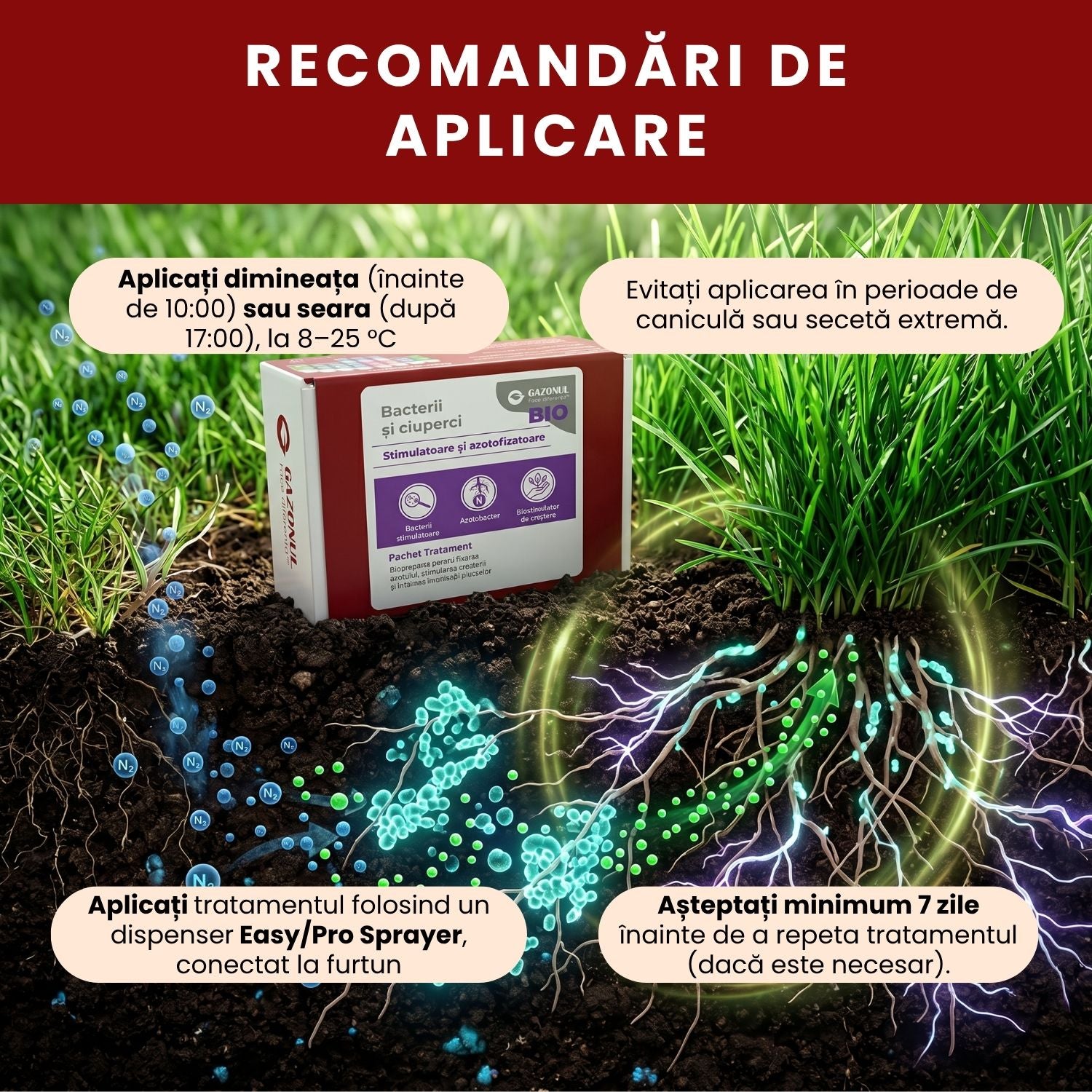 Pachet Tratament Bio - Bacterii și ciuperci stimulatoare și azotofixatoare