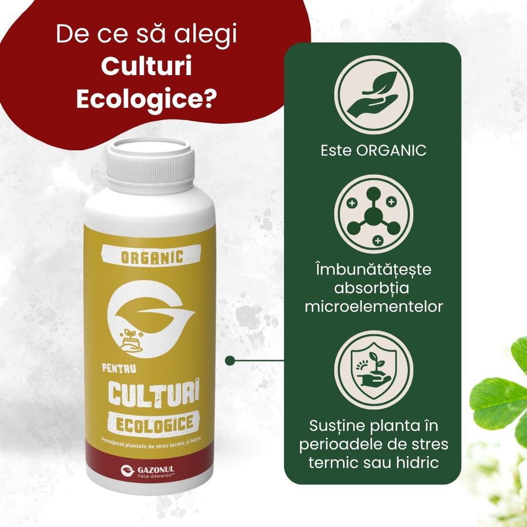 1 L
