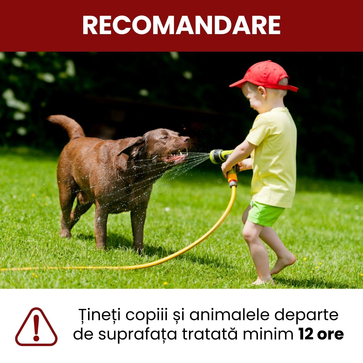 Pachet - Erbicid Selectiv Gazon – Combatere Postemergentă Buruieni cu Frunză Lată Dicotiledonate
