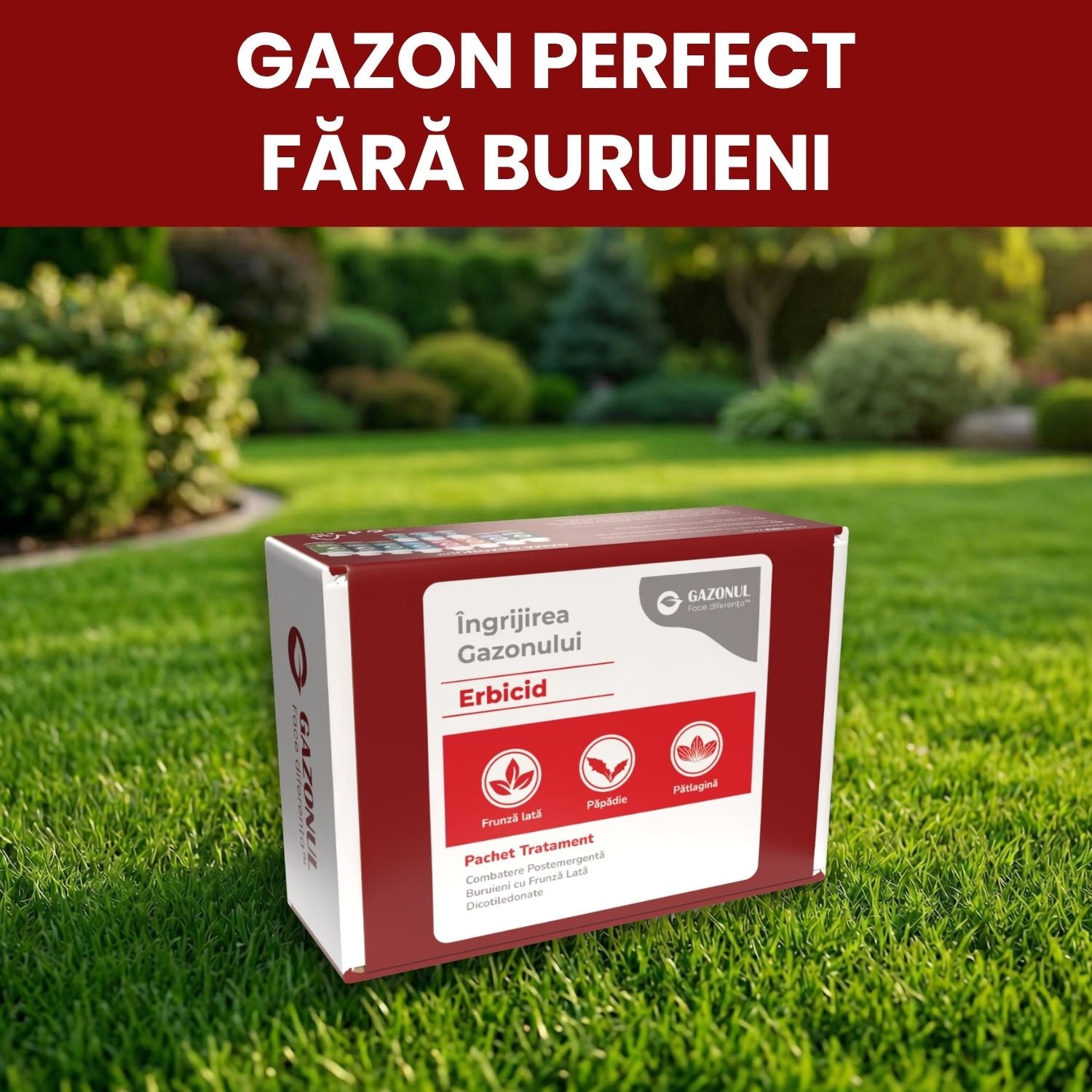 Pachet - Erbicid Selectiv Gazon – Combatere Postemergentă Buruieni cu Frunză Lată Dicotiledonate