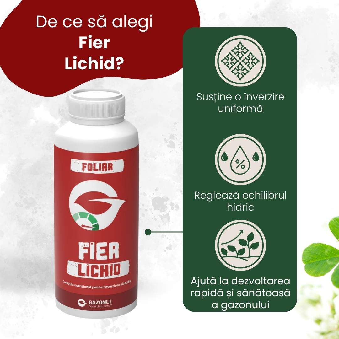 1 L