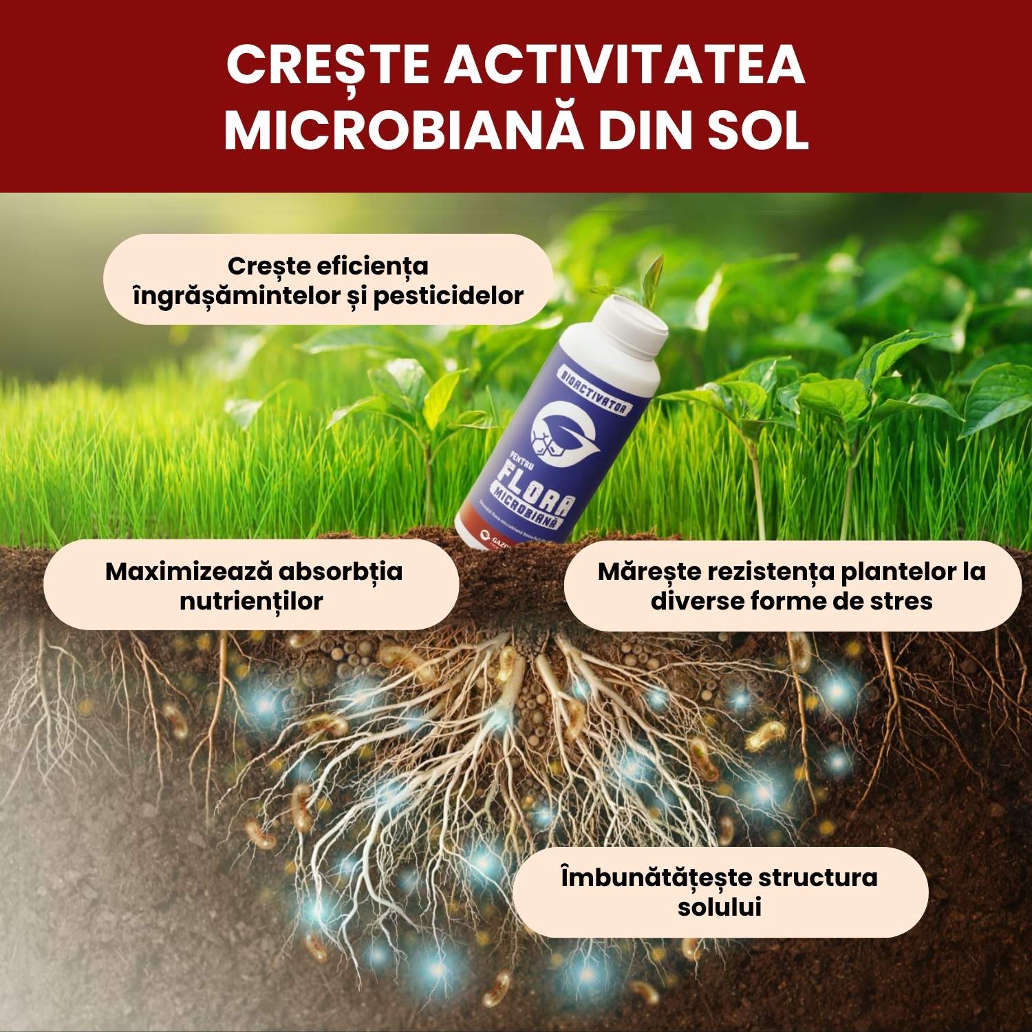 1 L