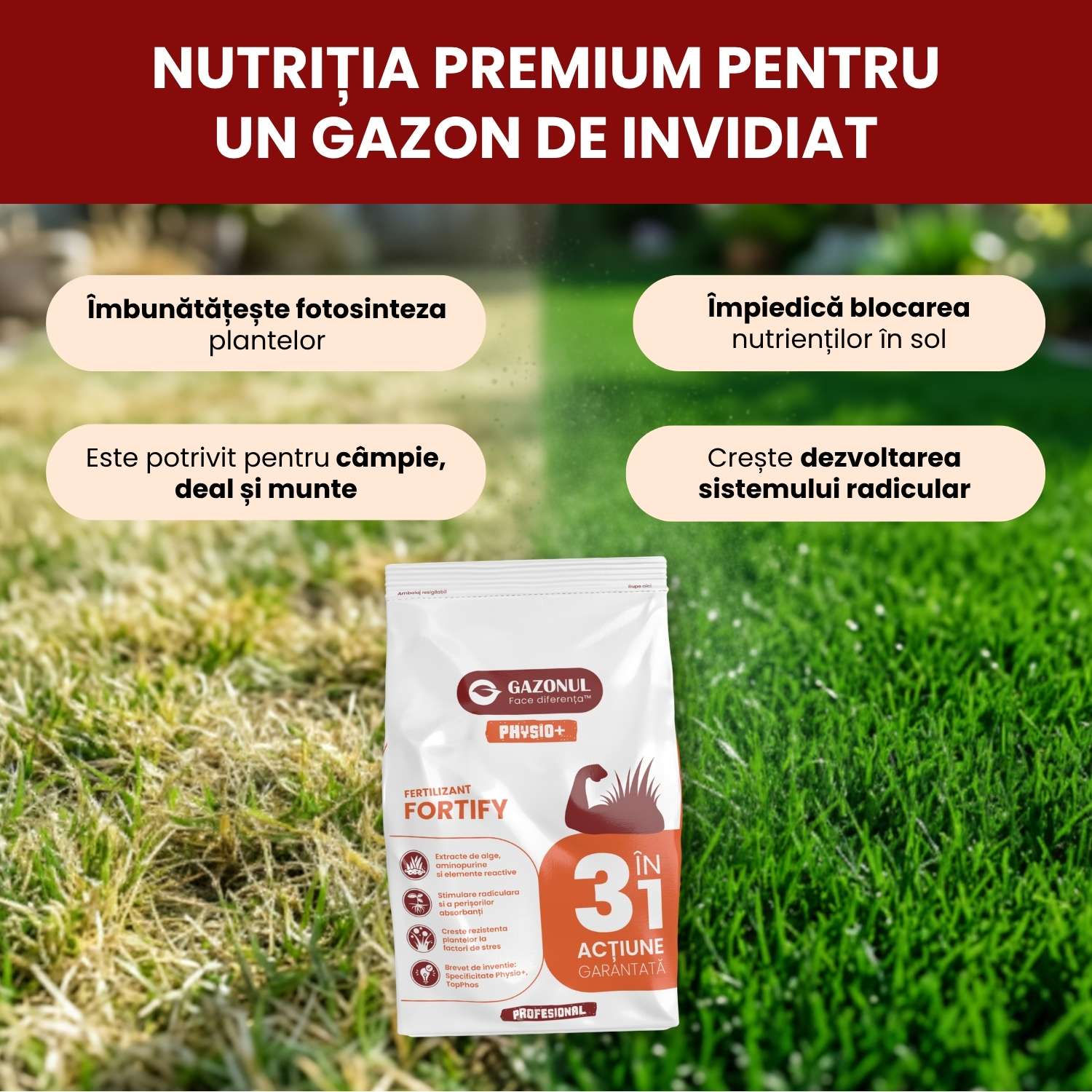 Îngrășământ gazon Fortify pentru rădăcini puternice și rezistență la stres