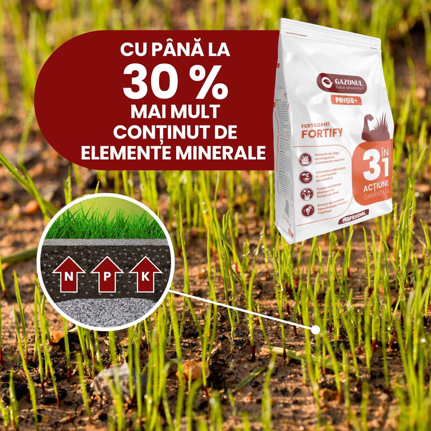 Îngrășământ gazon Fortify pentru rădăcini puternice și rezistență la stres