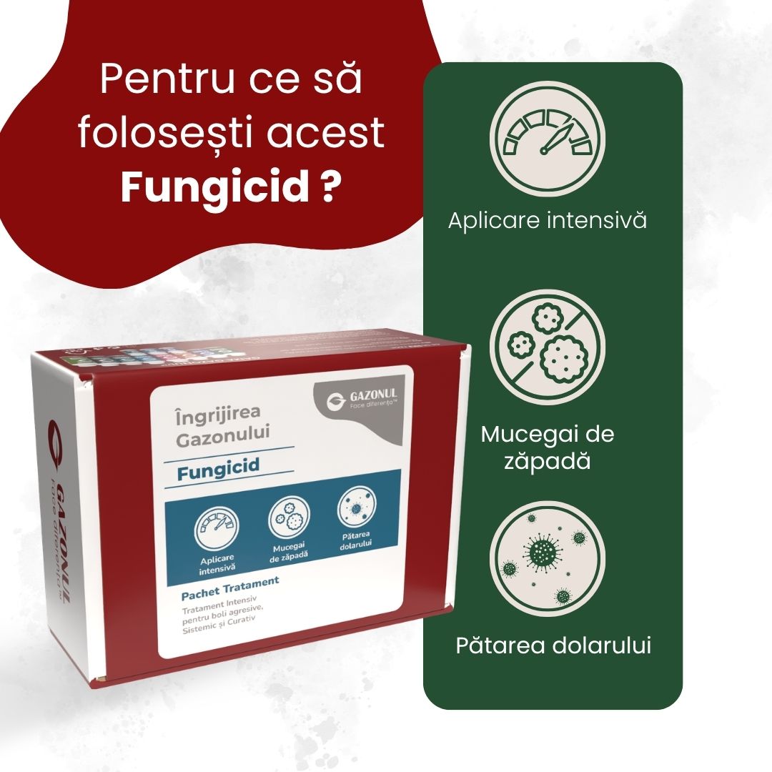 Pachet - Fungicid pentru Gazon – Tratament Intensiv pentru boli agresive, Sistemic și Curativ