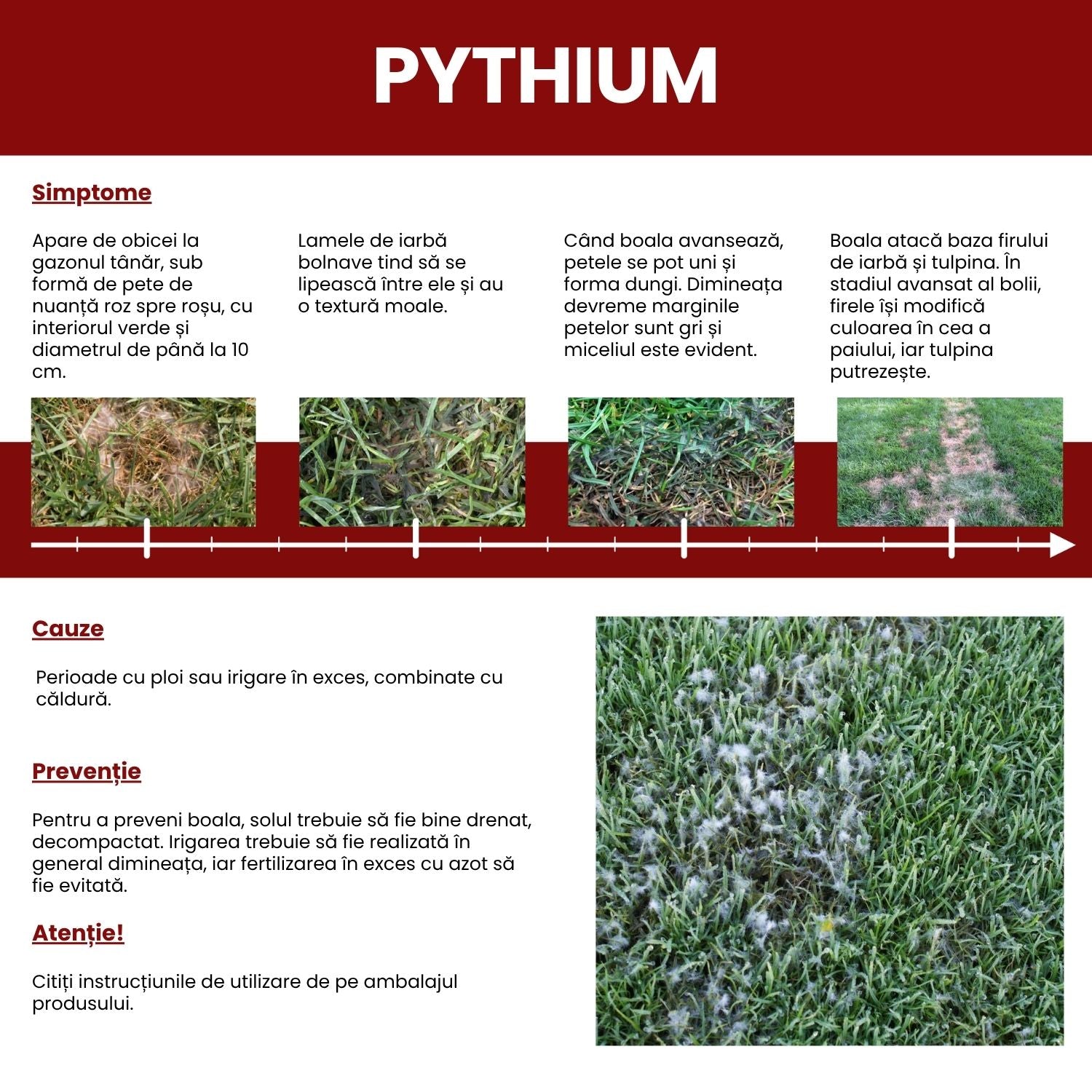 Pachet - Fungicid la însămânțare gazon – Tratament preventiv pentru Pythium și alte boli