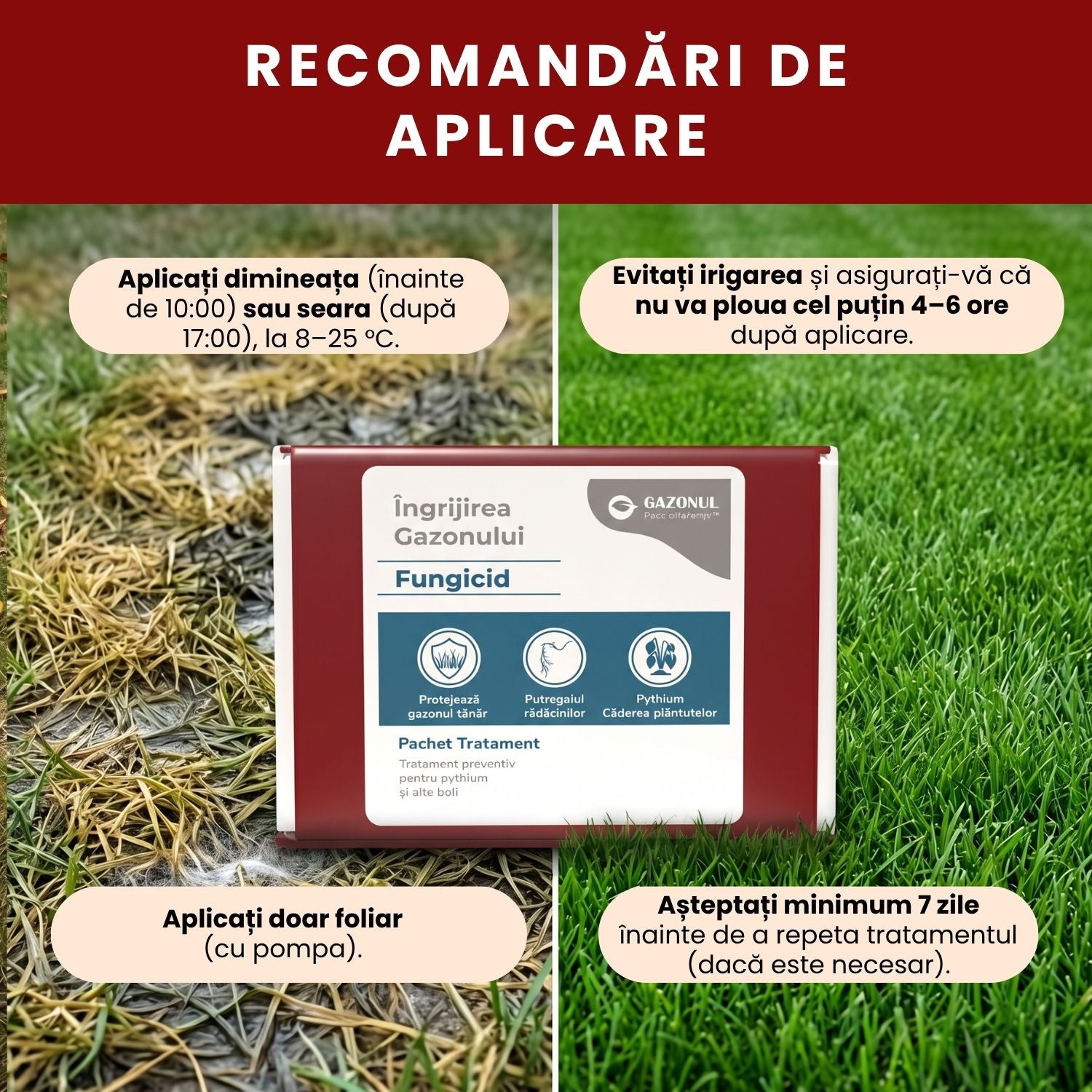 Pachet - Fungicid la însămânțare gazon – Tratament preventiv pentru Pythium și alte boli