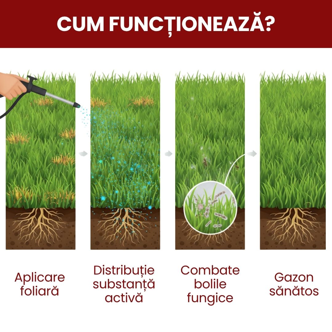 Pachet - Fungicid pentru Gazon – Tratament Intensiv pentru boli agresive, Sistemic și Curativ