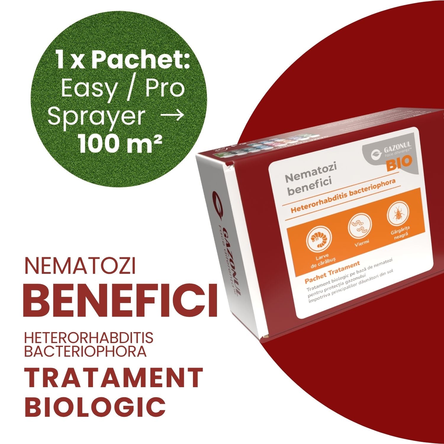 Nematozi benefici Heterorhabditis bacteriophora pentru viermi și alți dăunători