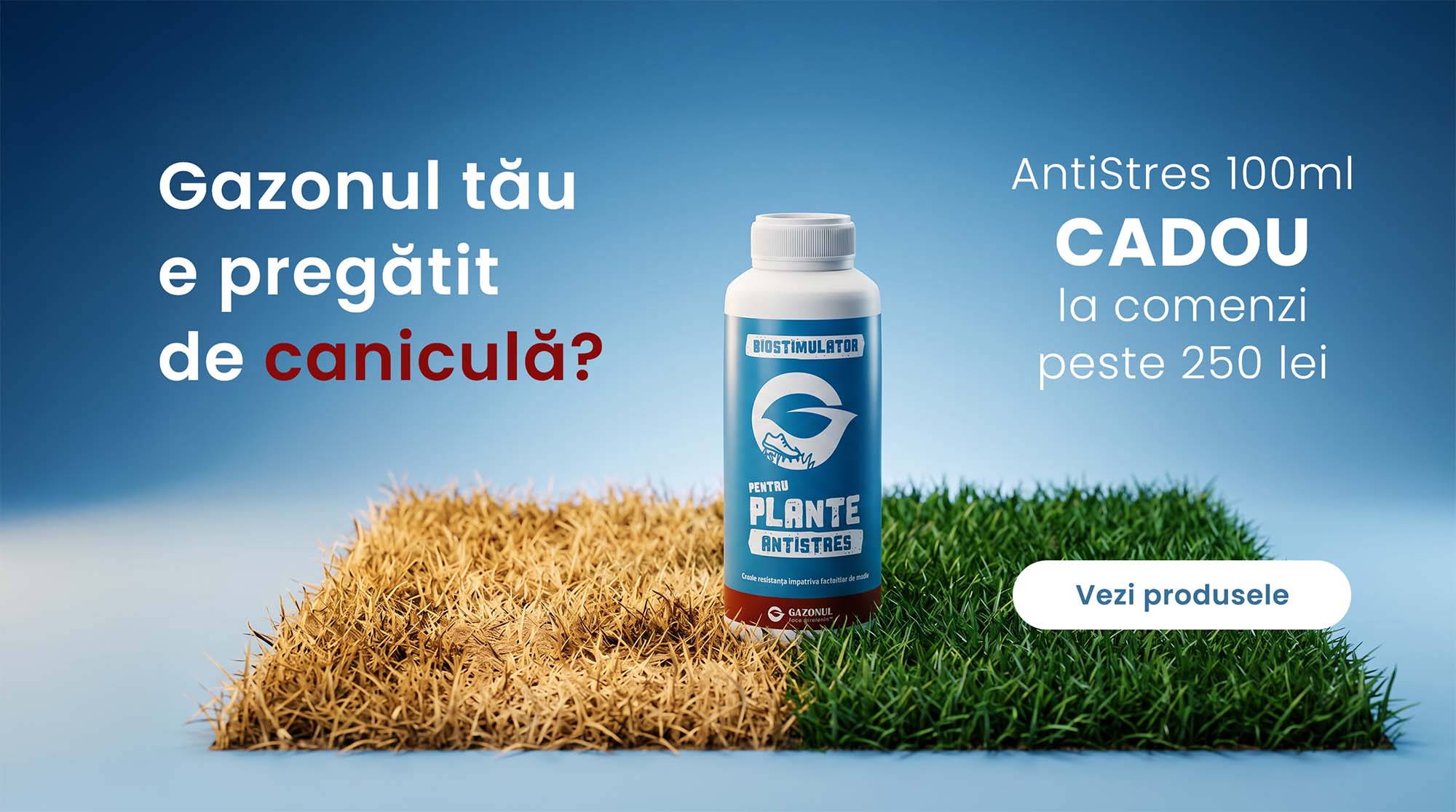 Gazonul