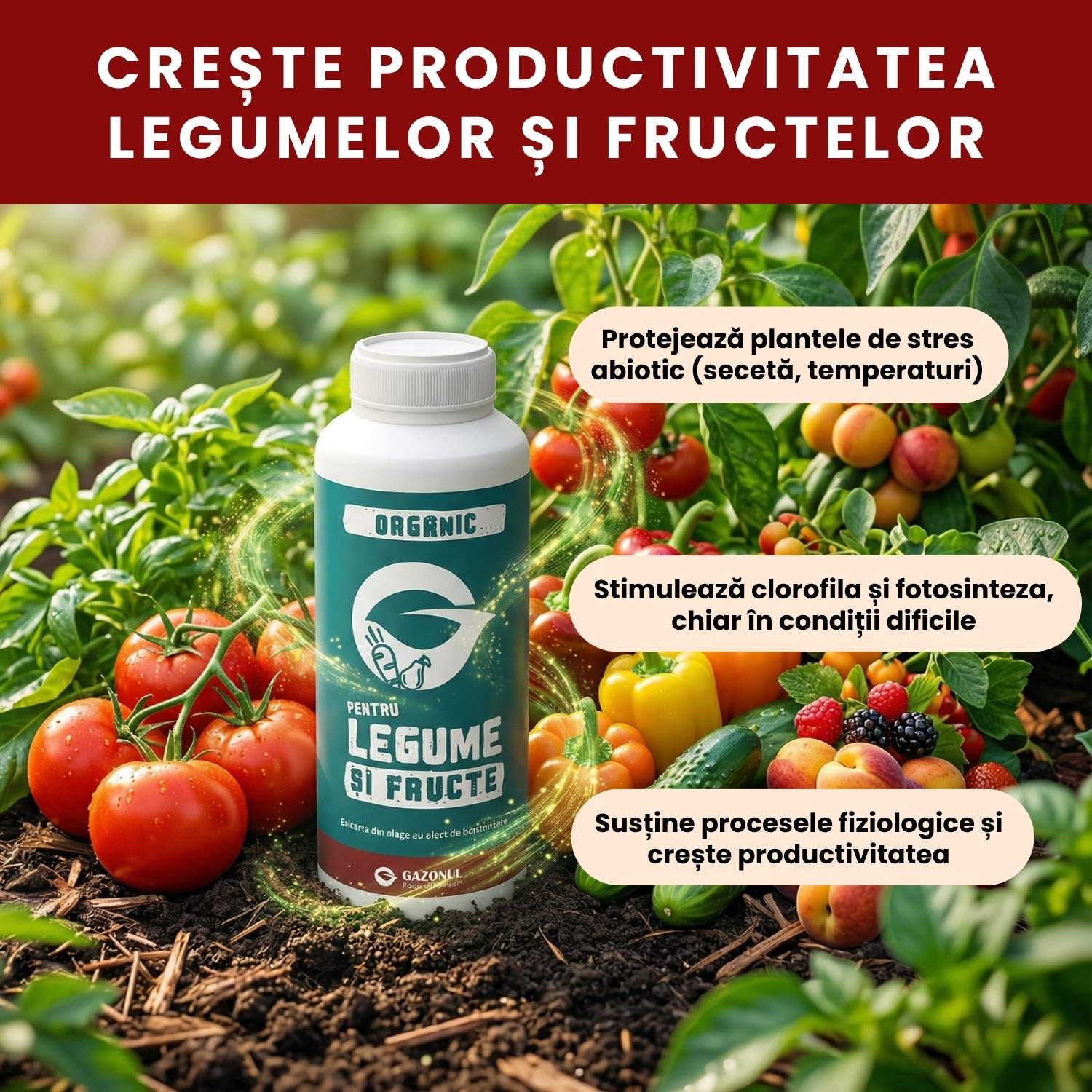 1 L