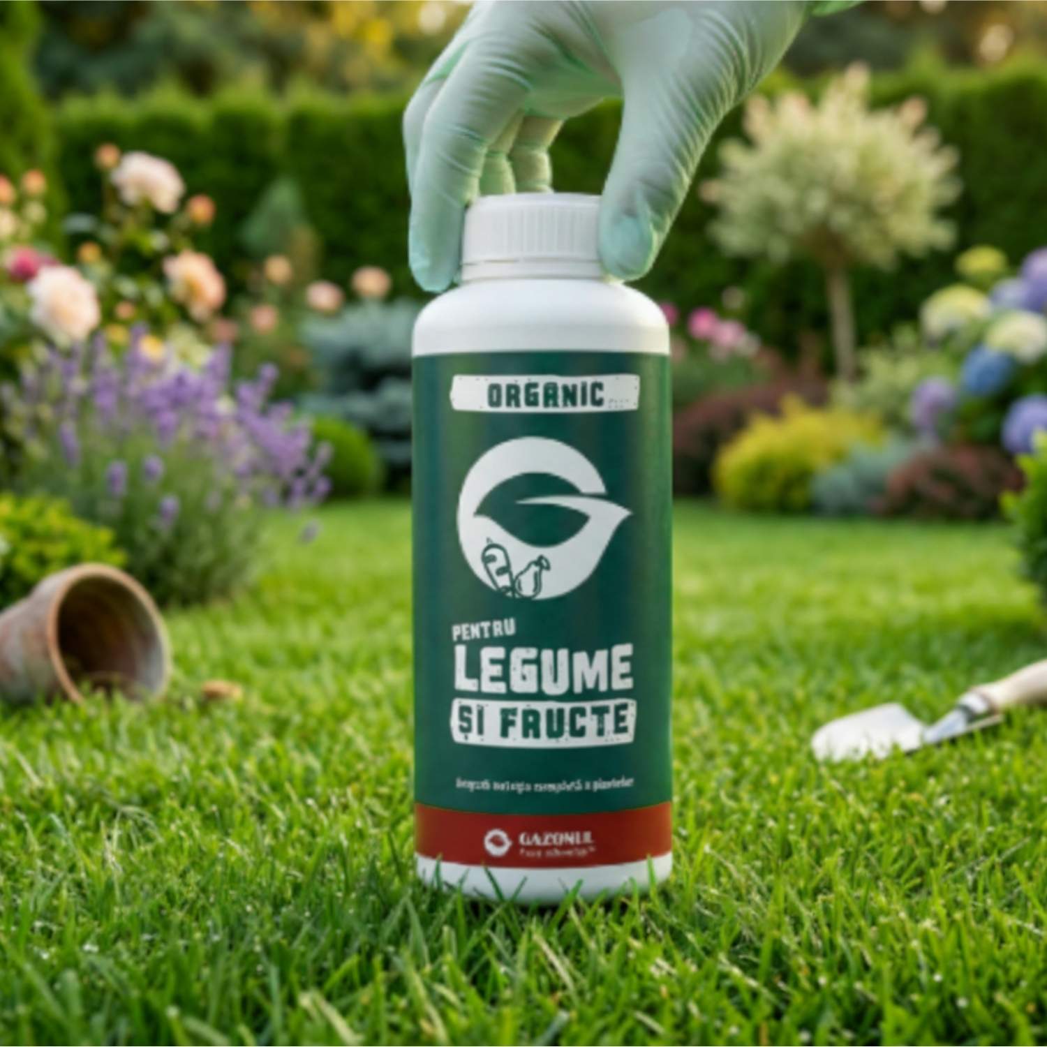 1 L
