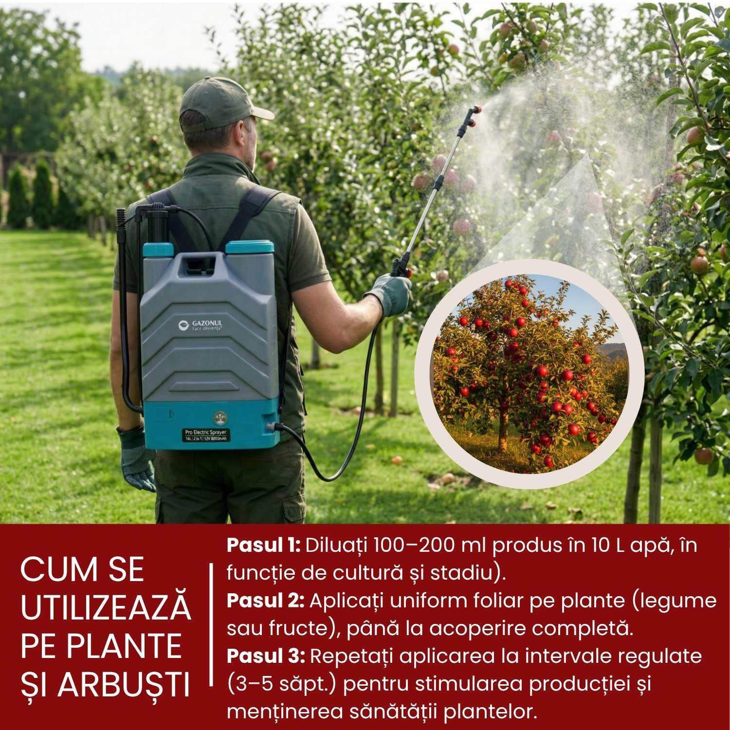 1 L