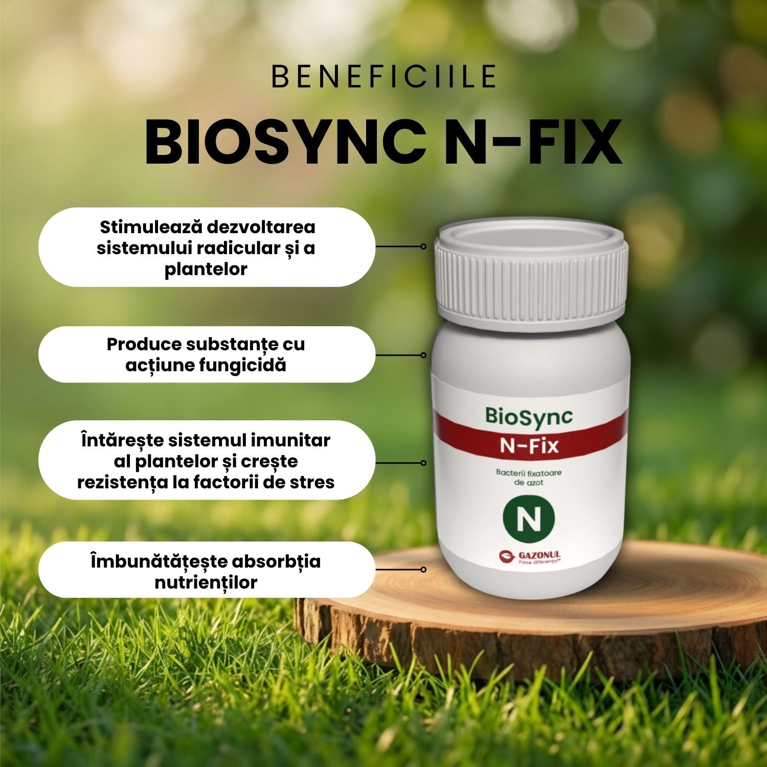 BioSync N-Fix – bacterii fixatoare de azot cu rol în germinarea semințelor și dezvoltarea plantelor 10 g