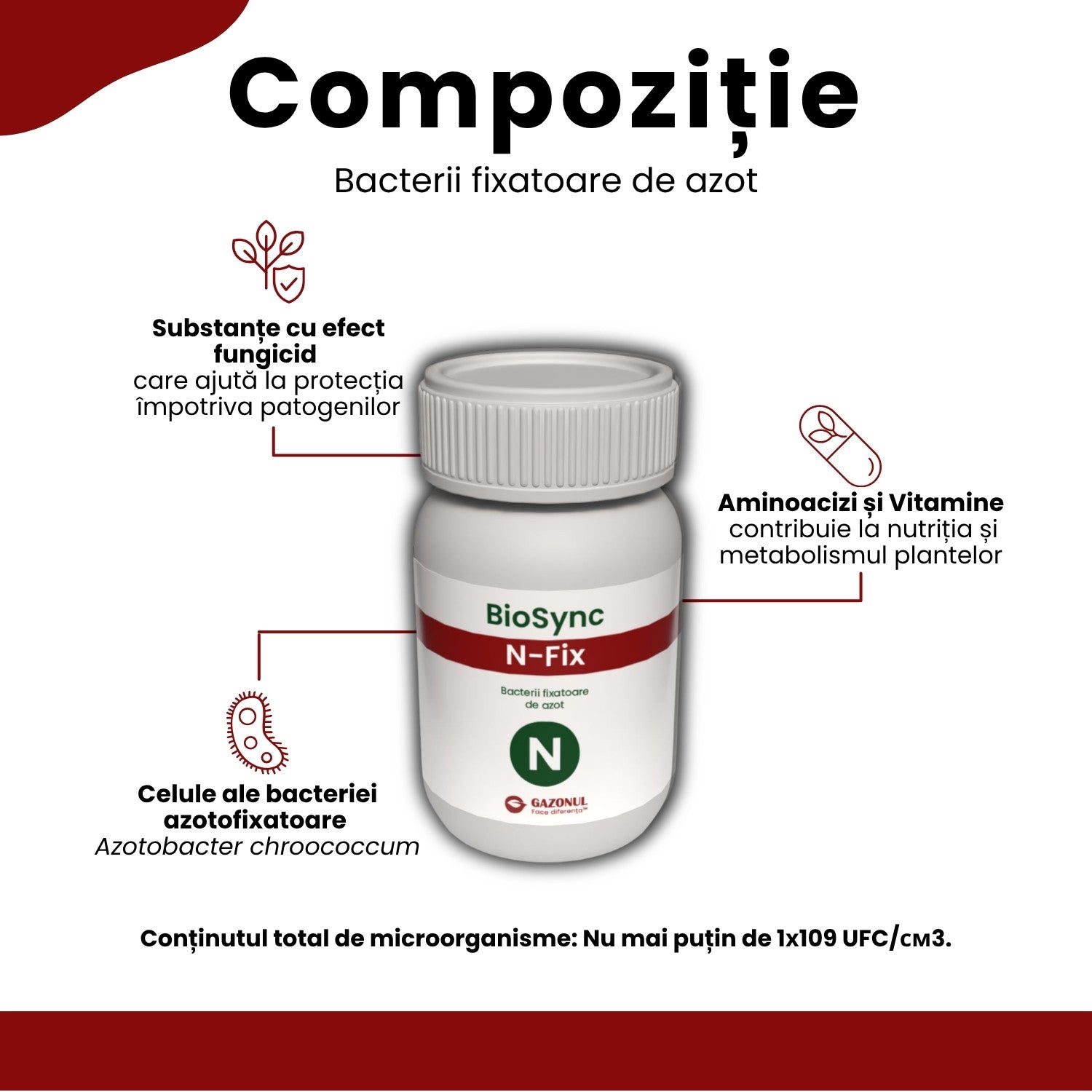 BioSync N-Fix – bacterii fixatoare de azot cu rol în germinarea semințelor și dezvoltarea plantelor 10 g