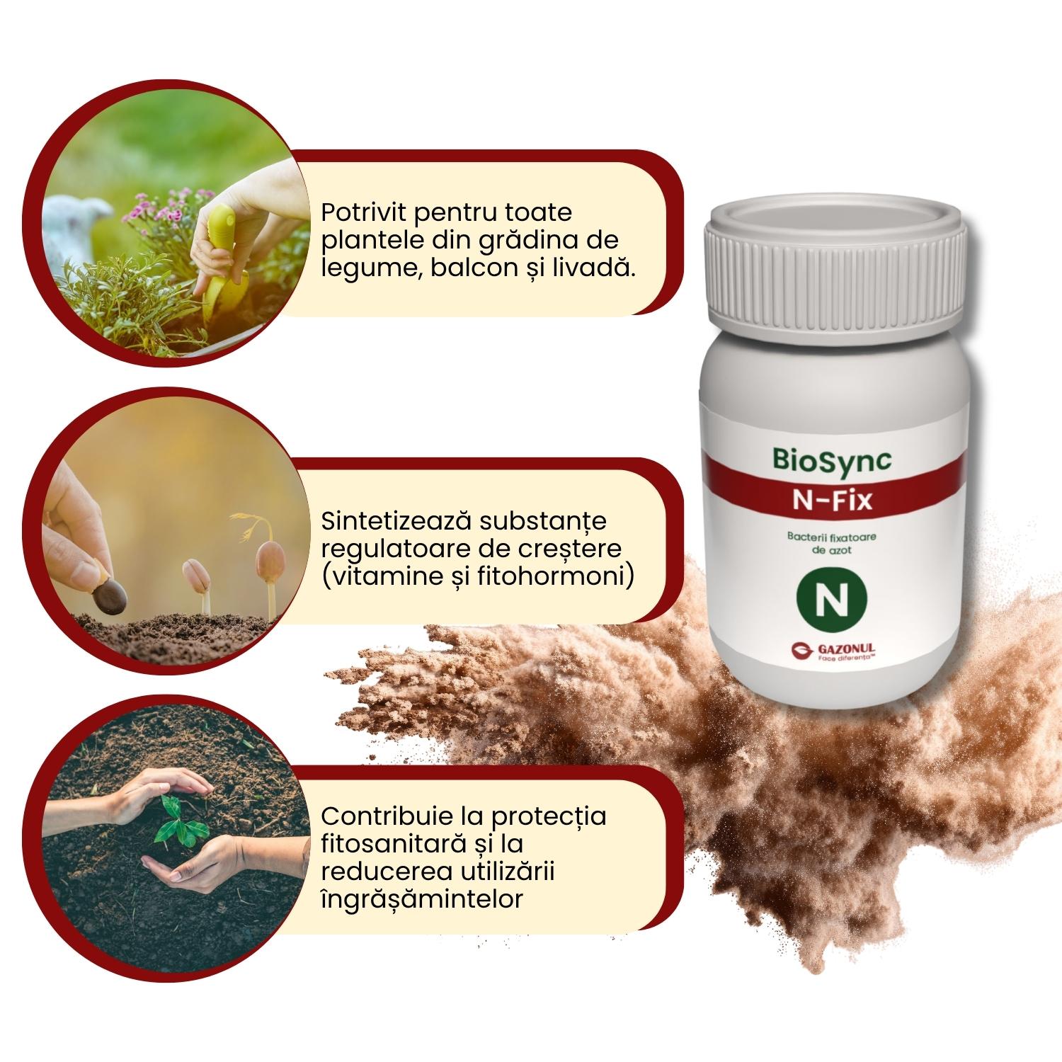 BioSync N-Fix – bacterii fixatoare de azot cu rol în germinarea semințelor și dezvoltarea plantelor 10 g