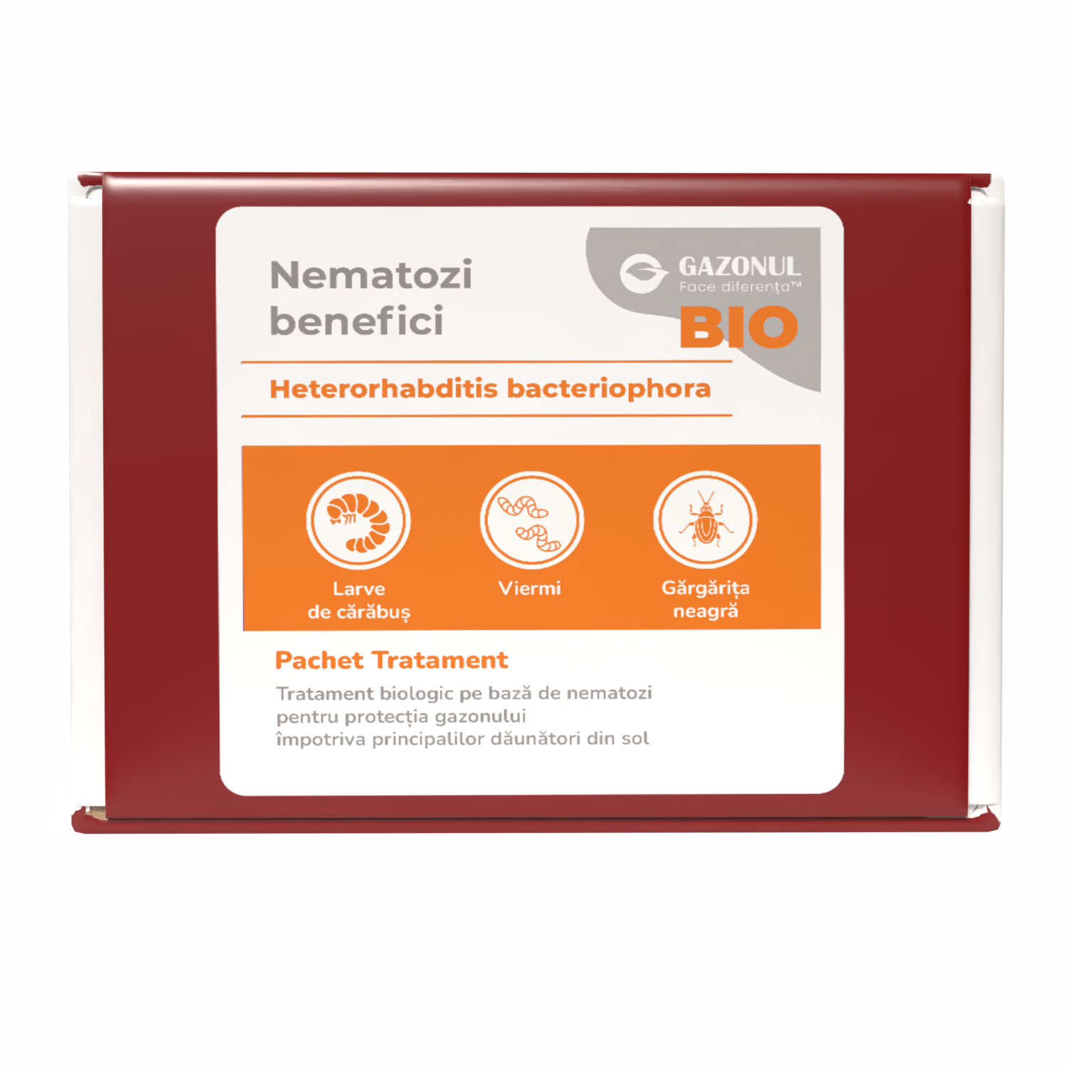 Nematozi benefici Heterorhabditis bacteriophora pentru viermi și alți dăunători