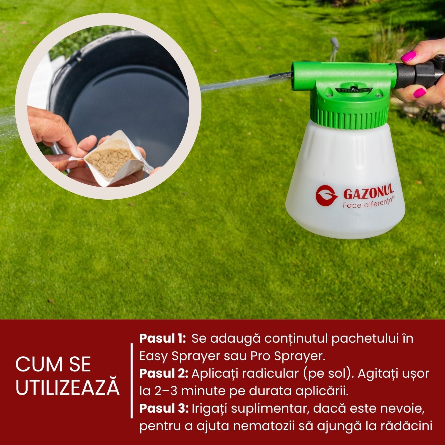 Nematozi benefici Steinernema feltiae pentru molii, tripsi și alți dăunători