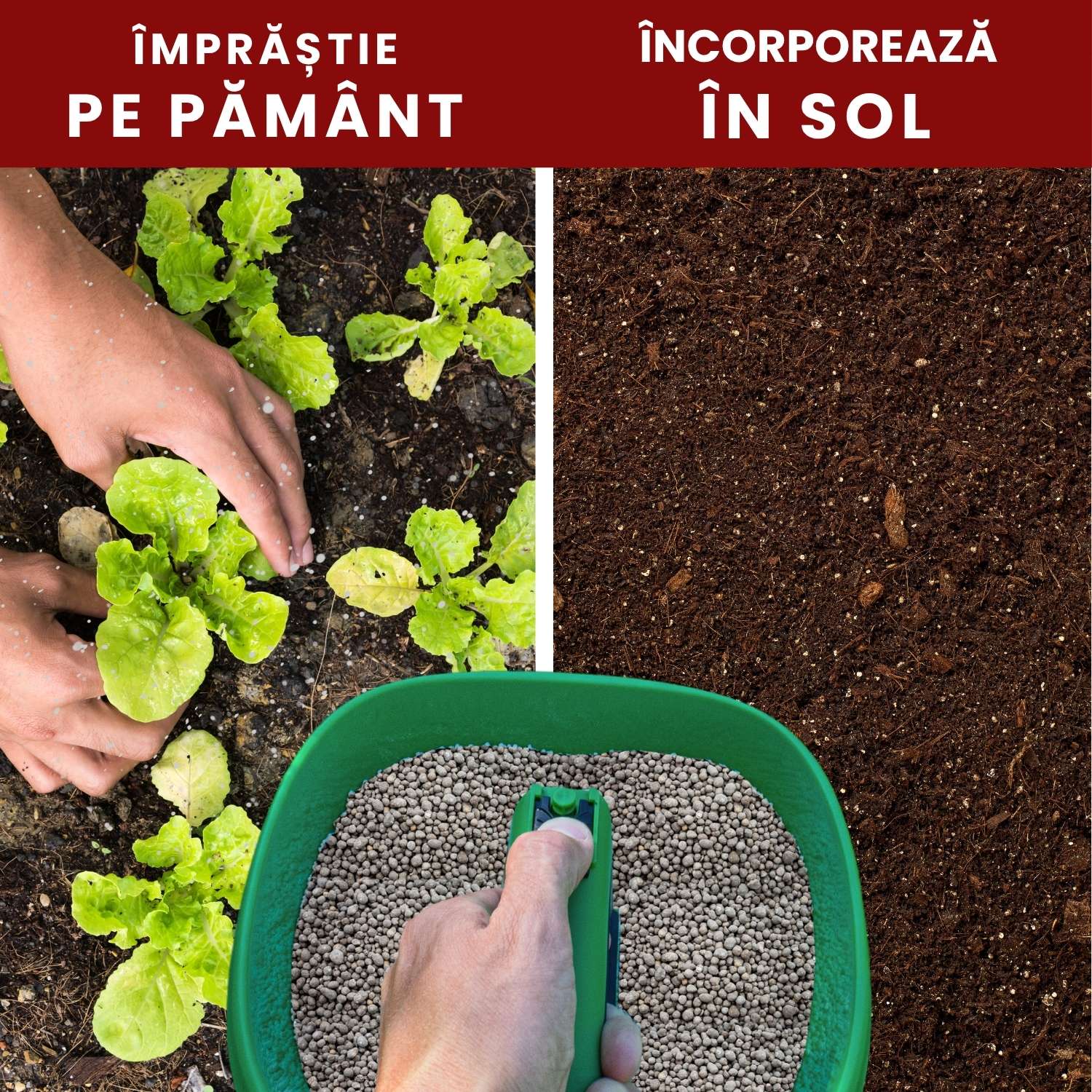 Îngrășământ Plant+ Organic pentru plante viguroase și sol fertil