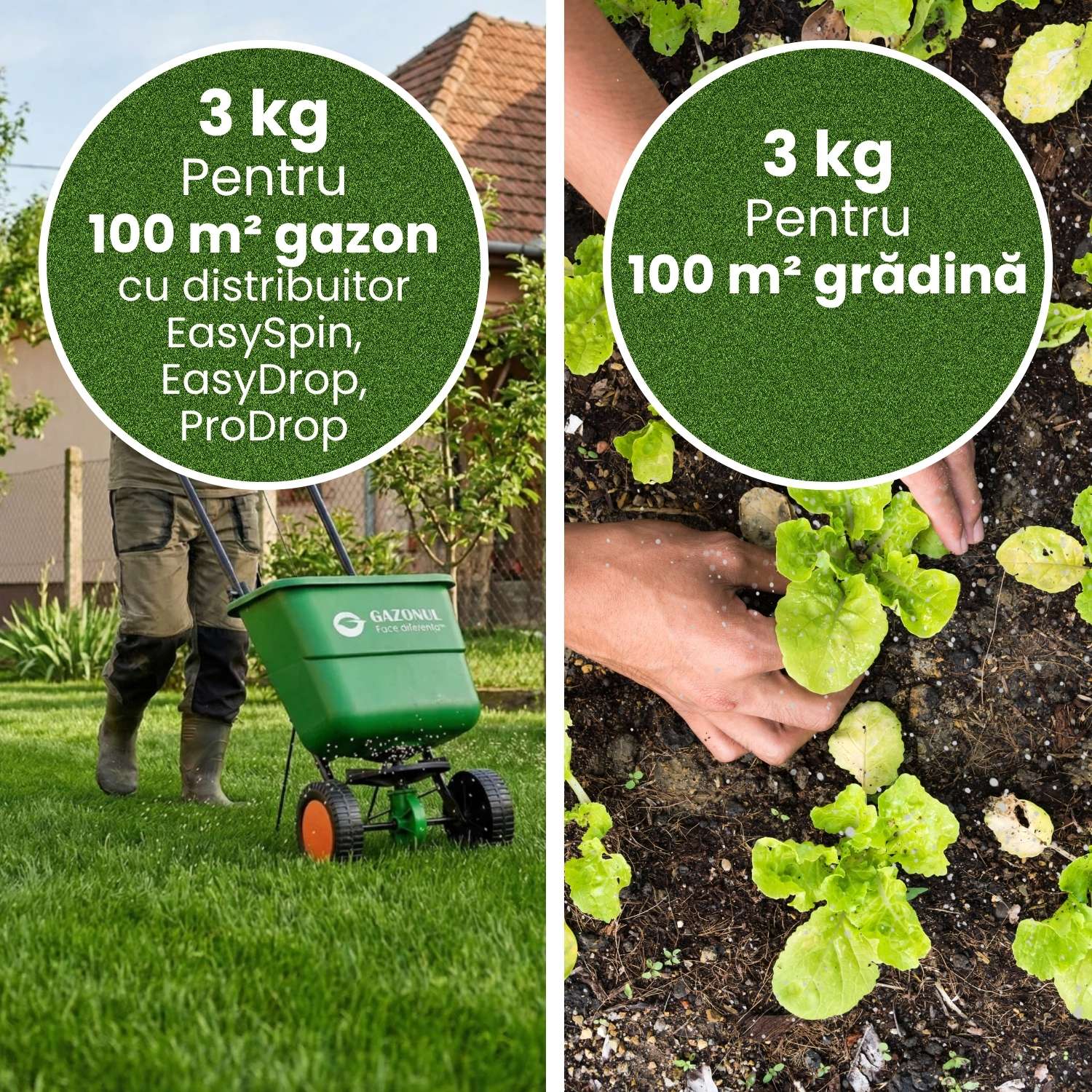Îngrășământ Plant+ Organic pentru plante viguroase și sol fertil