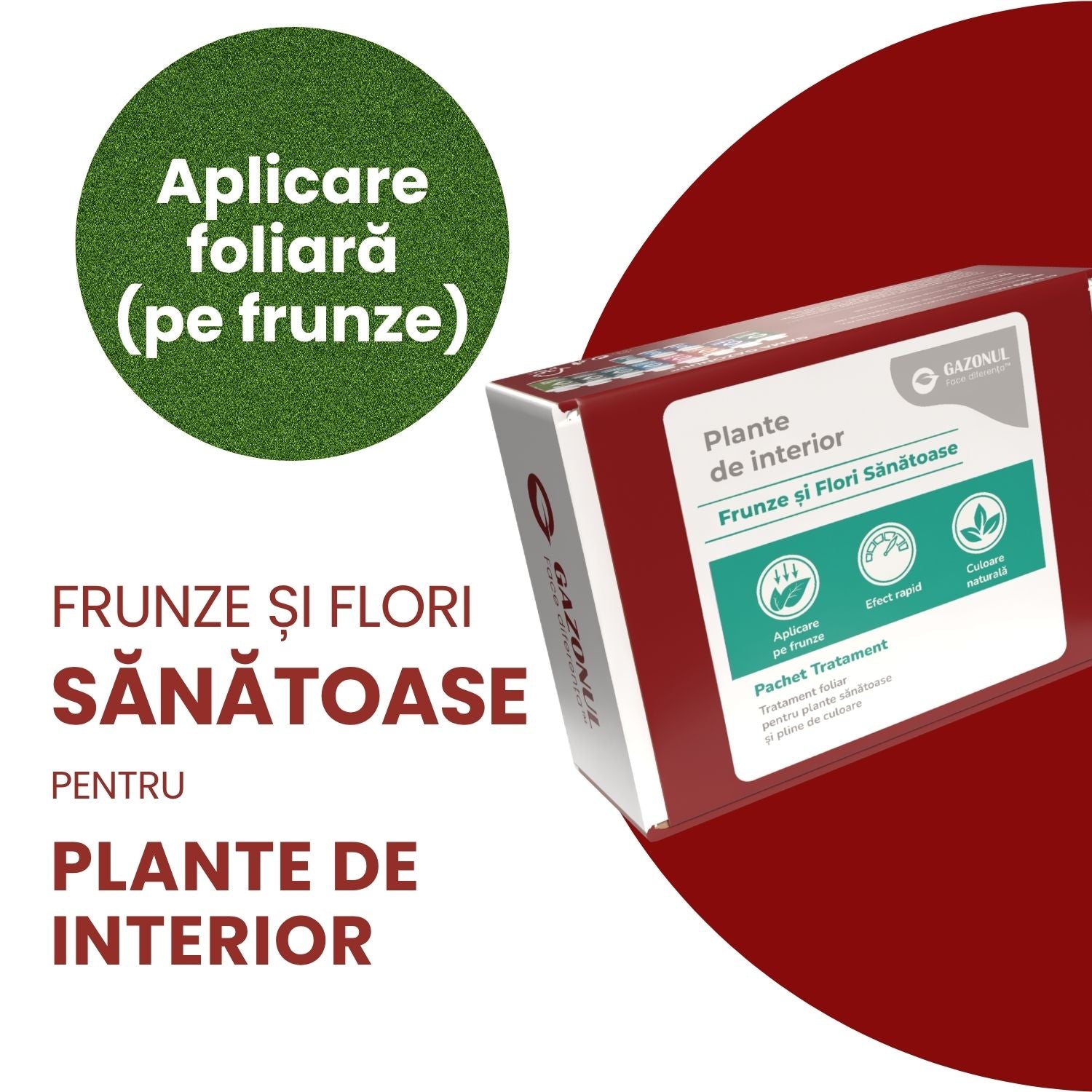 Pachet Îngrijire Plante de interior pentru flori și frunze sănătoase