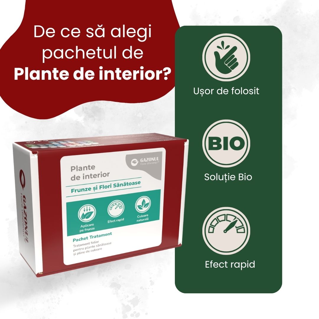 Pachet Îngrijire Plante de interior pentru flori și frunze sănătoase