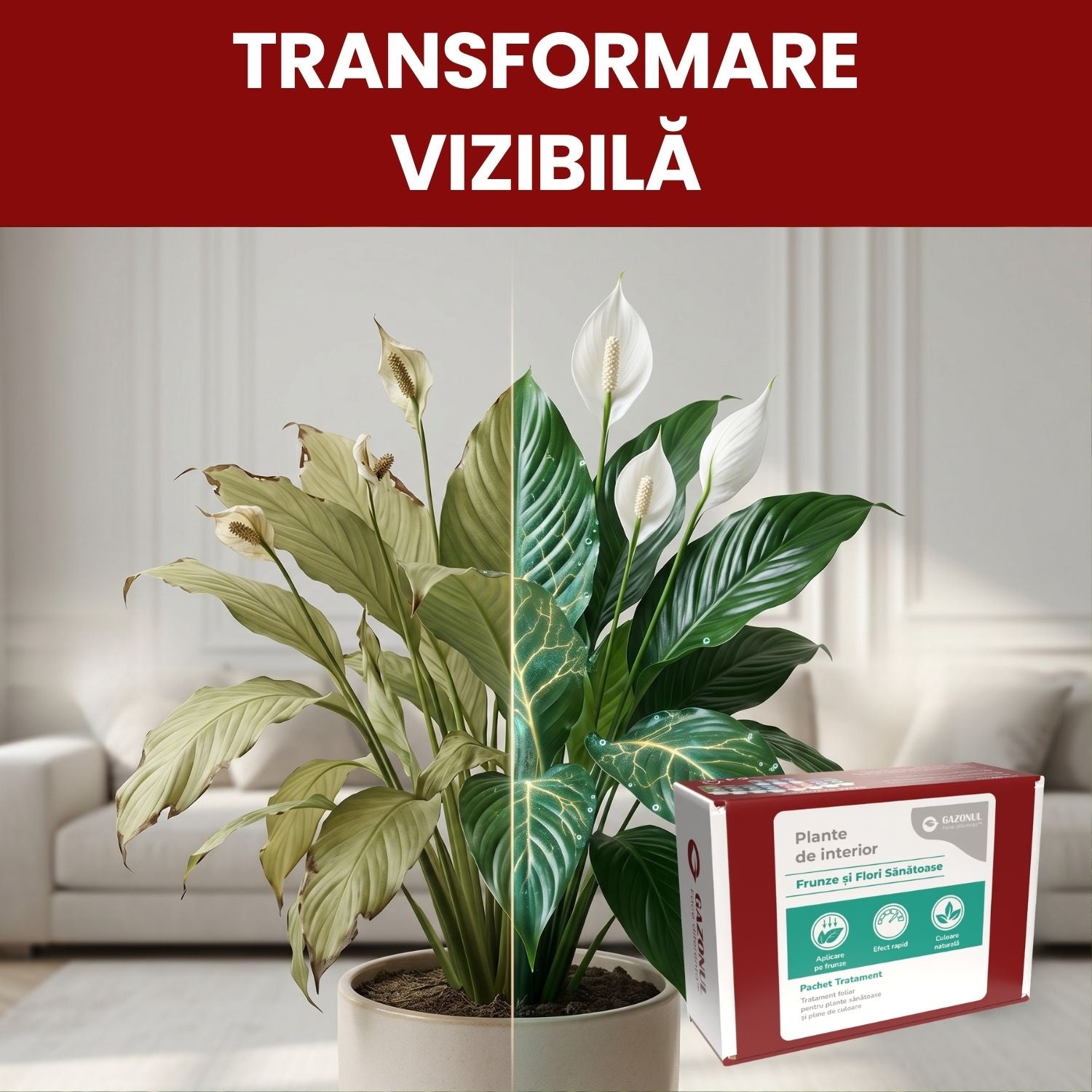 Pachet Îngrijire Plante de interior pentru flori și frunze sănătoase