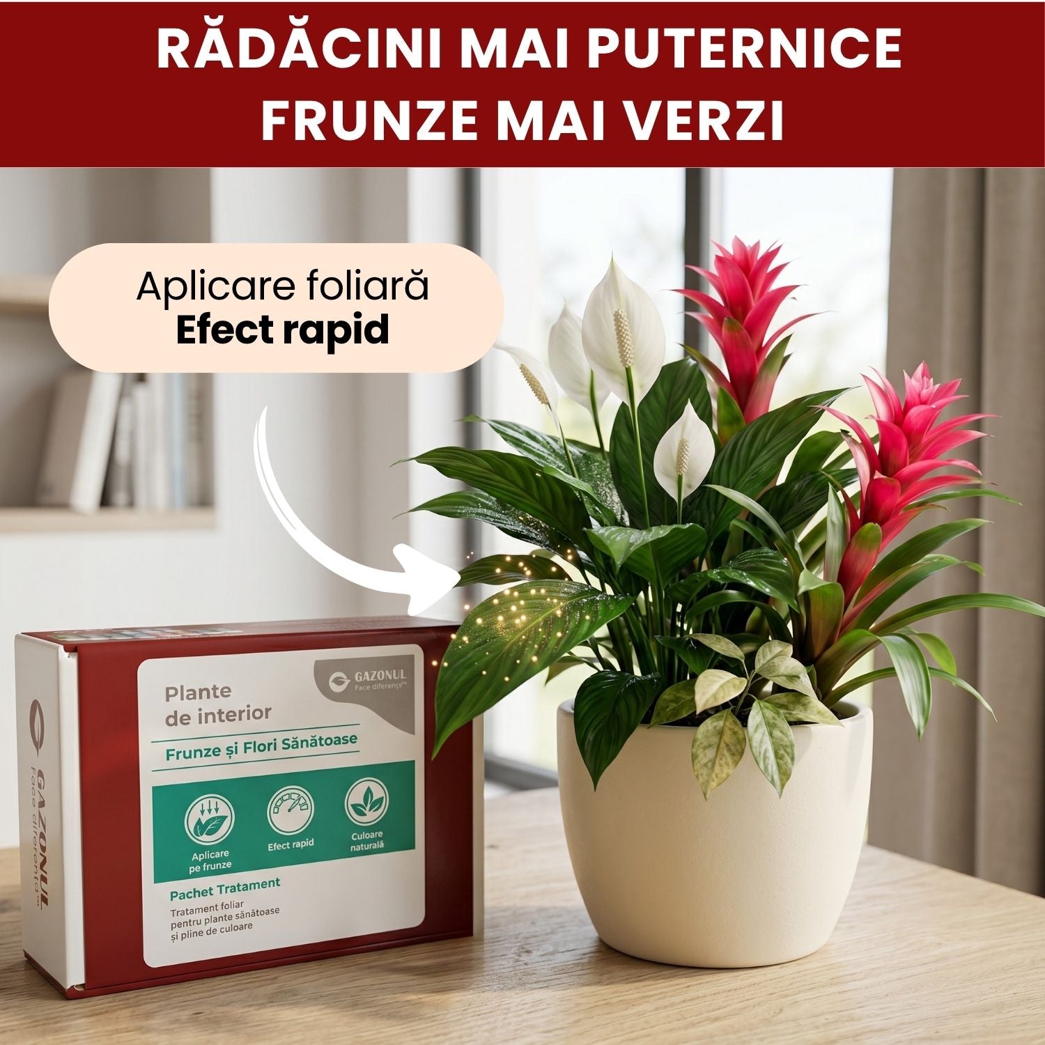 Pachet Îngrijire Plante de interior pentru flori și frunze sănătoase