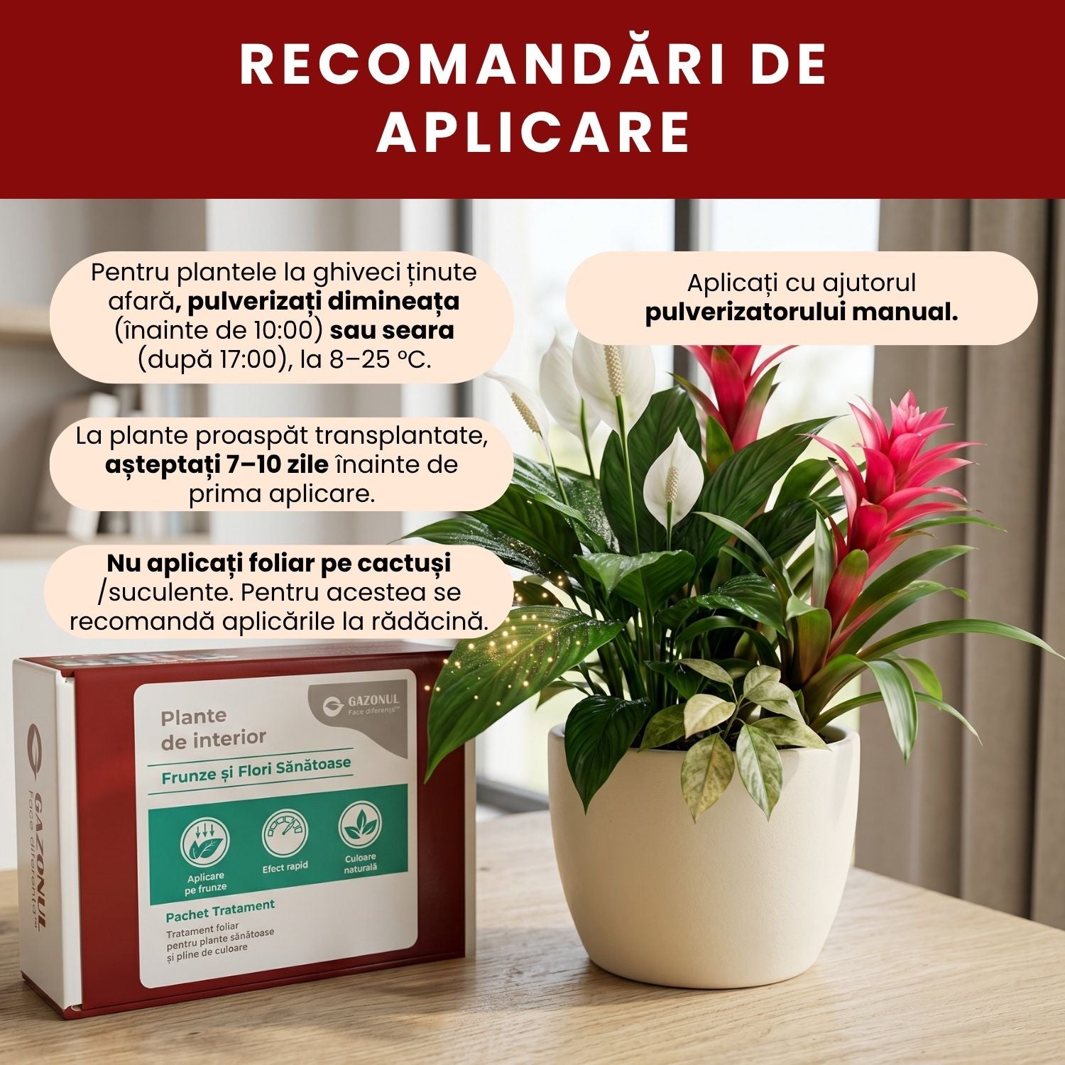 Pachet Îngrijire Plante de interior pentru flori și frunze sănătoase