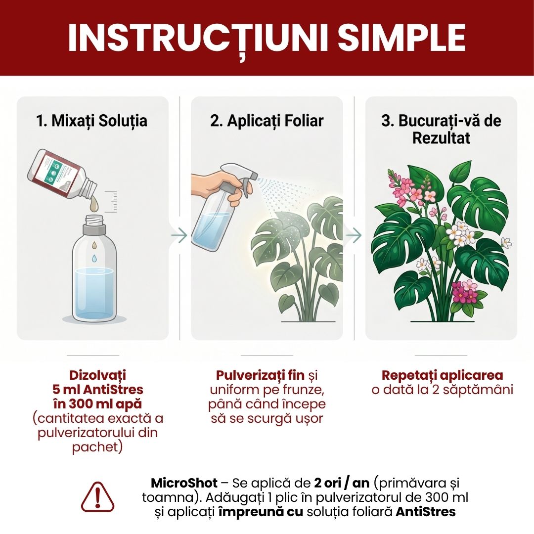 Pachet Îngrijire Plante de interior pentru flori și frunze sănătoase