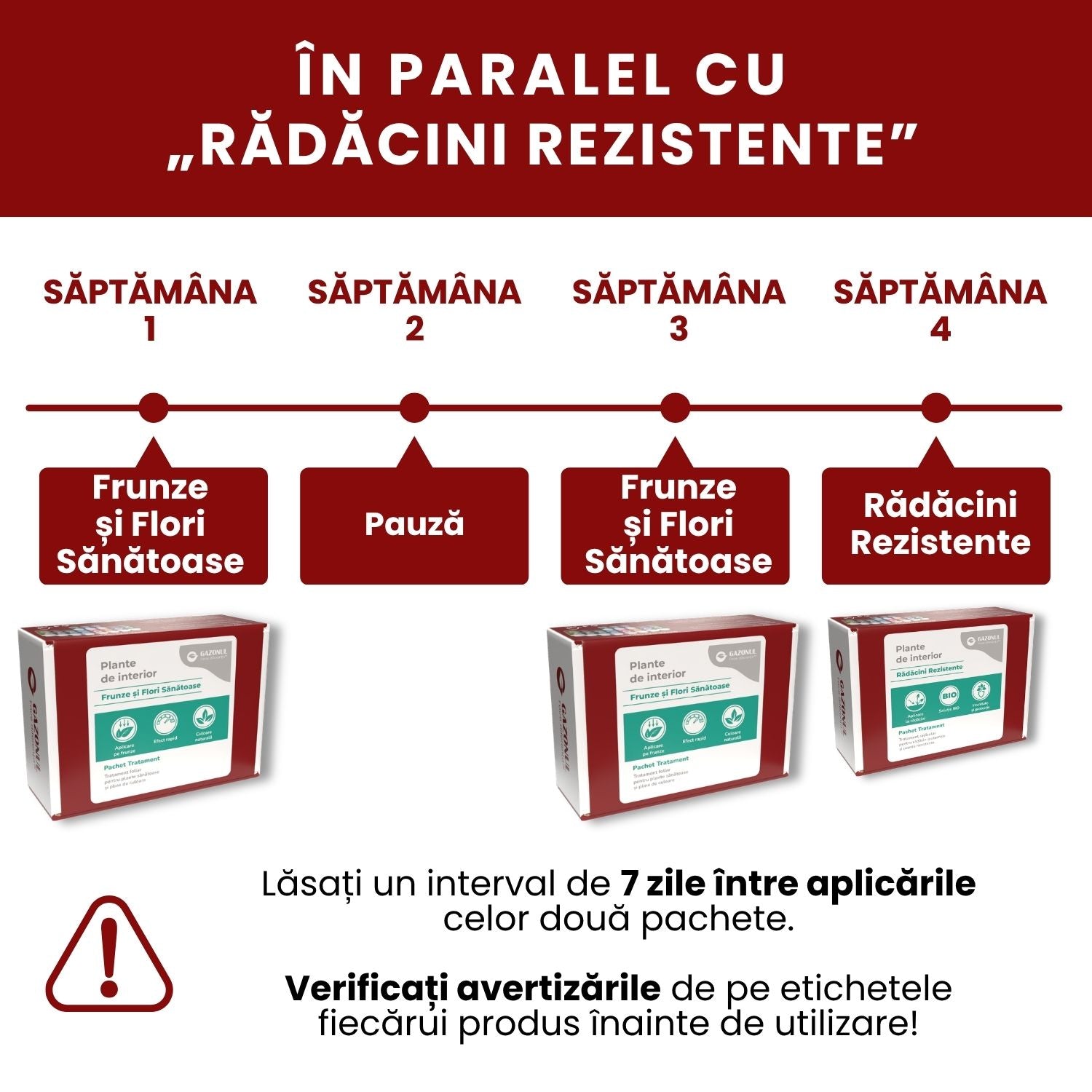 Pachet Îngrijire Plante de interior pentru flori și frunze sănătoase
