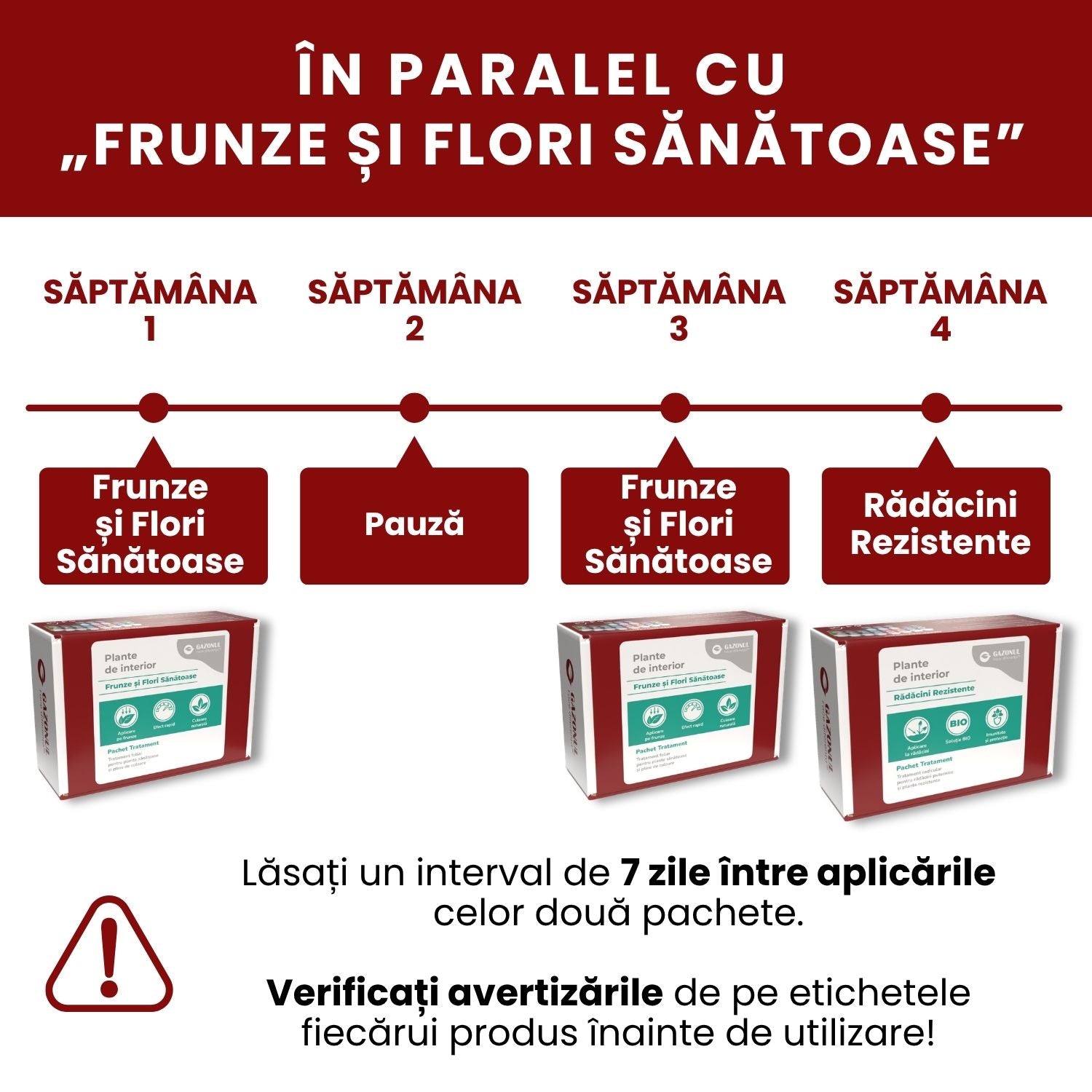 Pachet Îngrijire Plante de interior pentru rădăcini rezistente